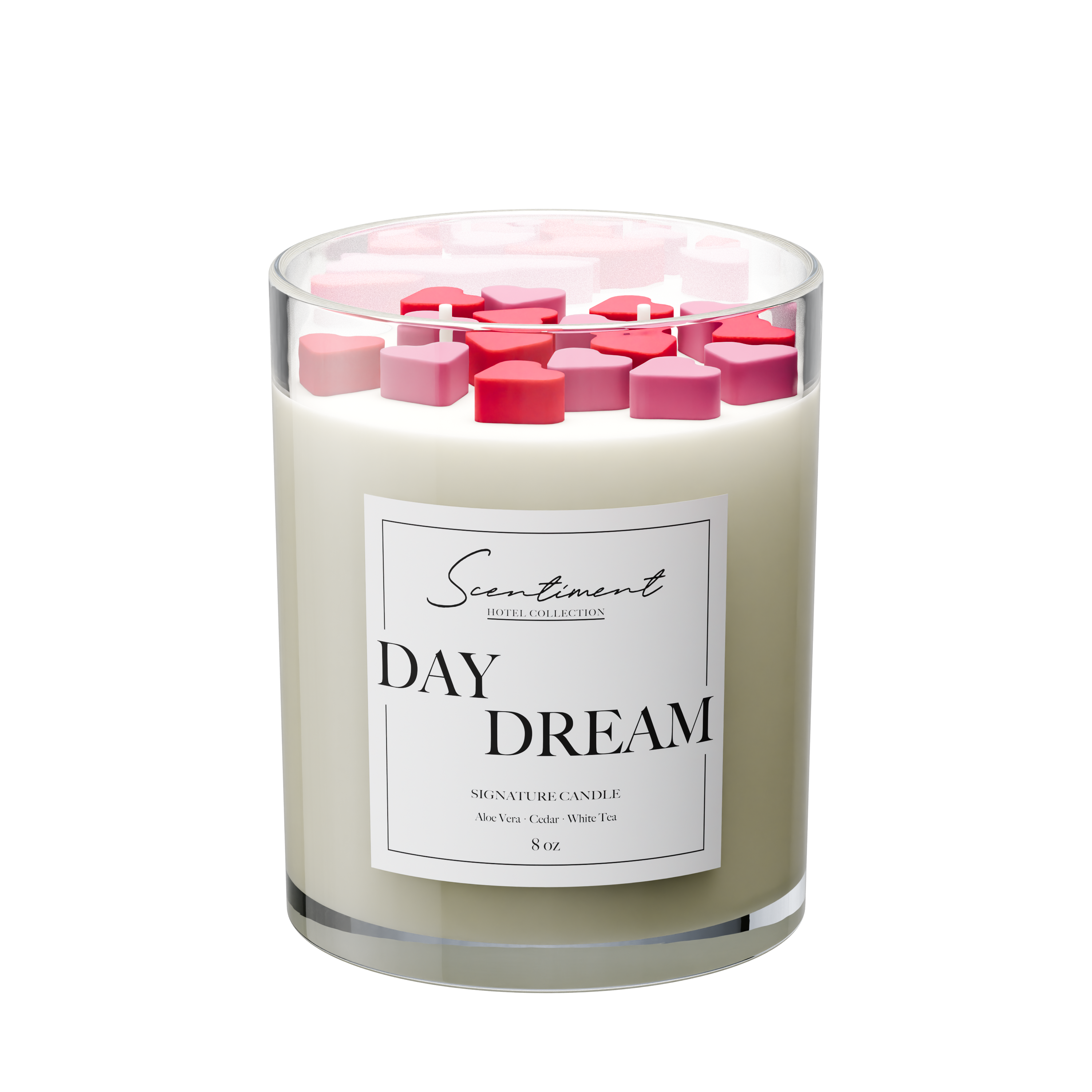 Day Dream 8oz Candle with the notes of Aloe Vera, Ginger, White Tea