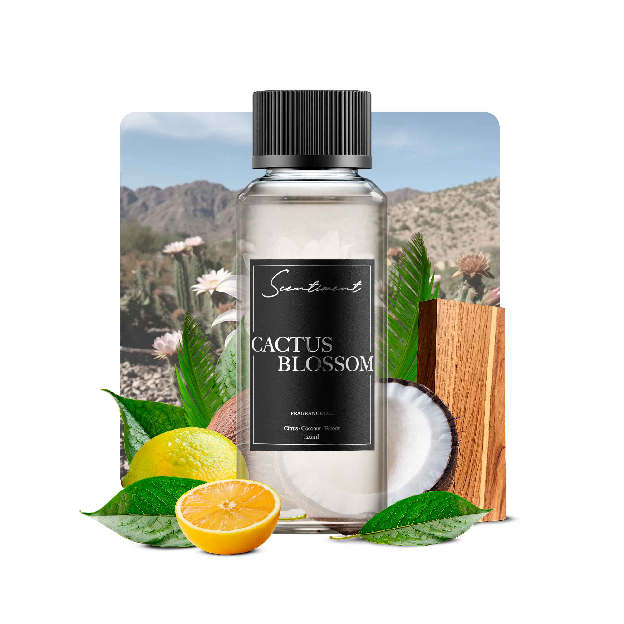 Cactus Blossom Fragrance Oil with the notes of Green, Citrus