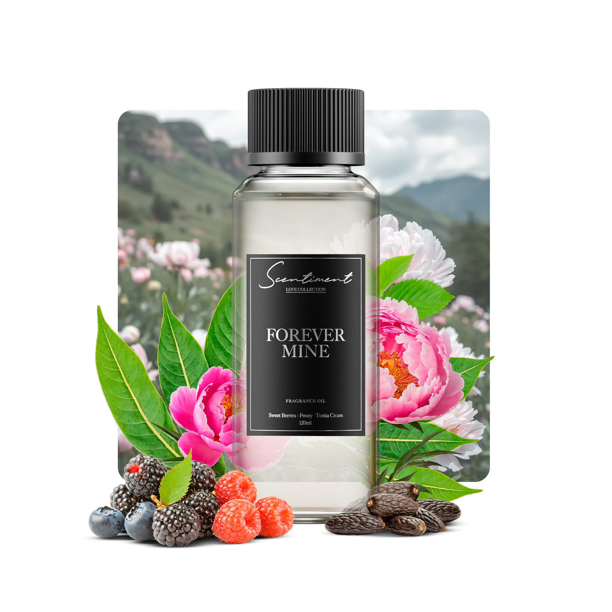 Forever Mine Fragrance Oil with the notes of Crisp Air, Sweet Mint