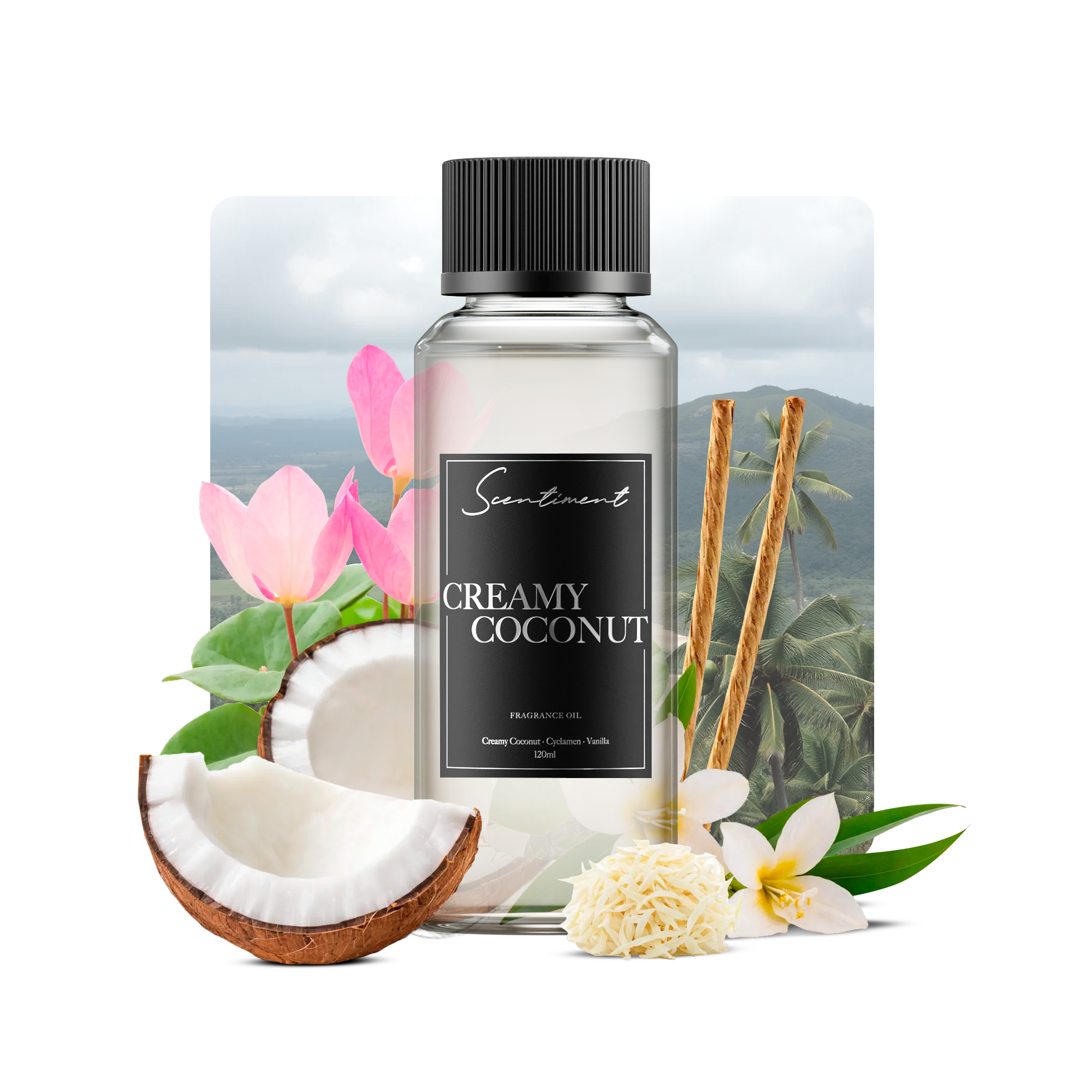 Creamy Coconut Fragrance Oil with the notes of Berry, Creamy Coconut