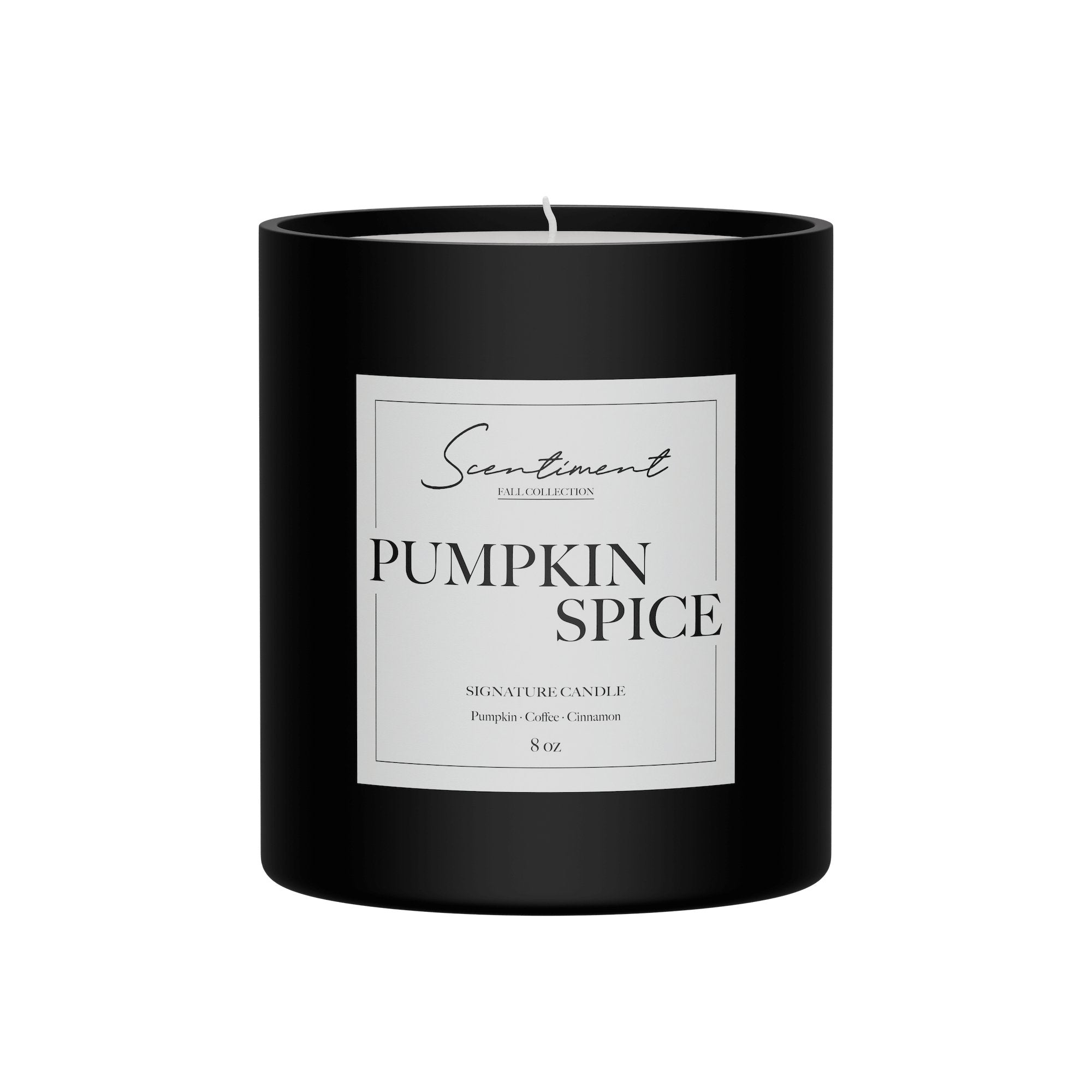 Pumpkin Spice Candle 8oz with notes of Pumpkin Spice