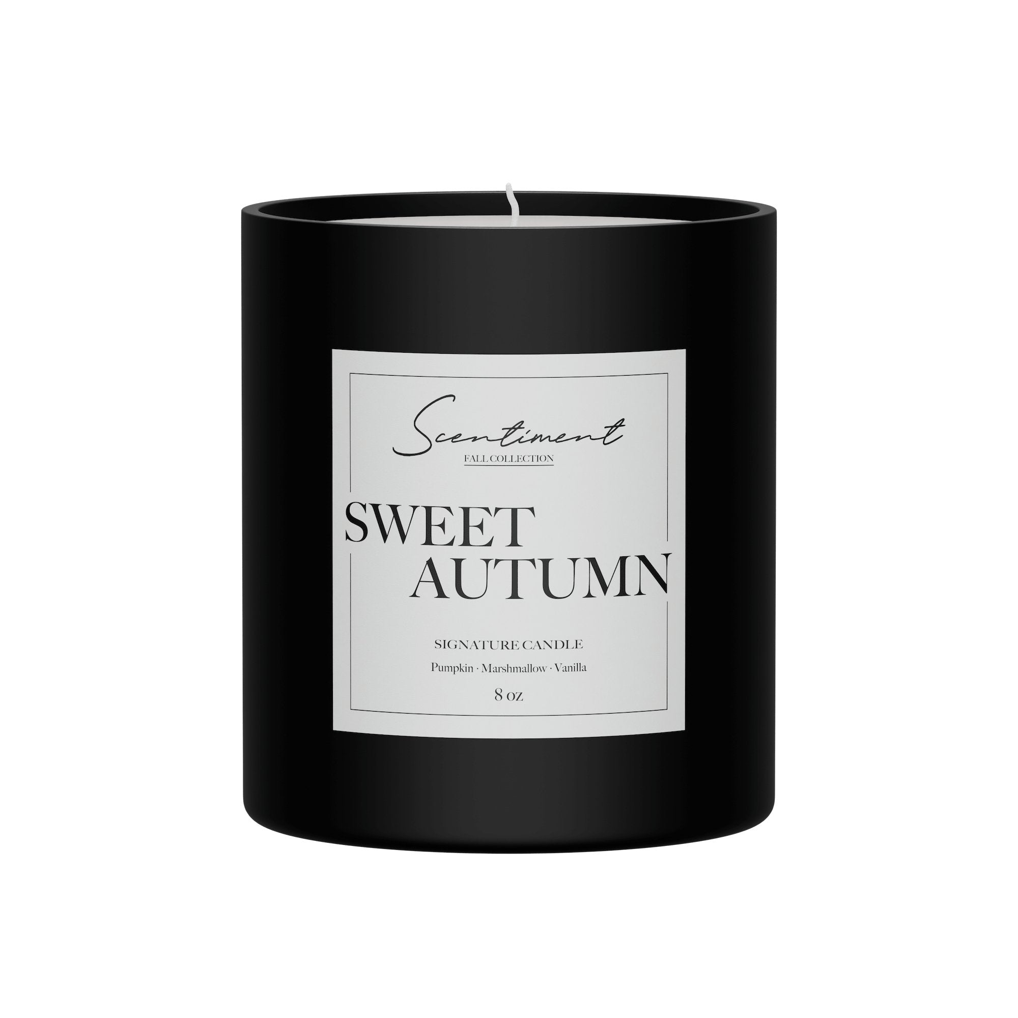 Sweet Autumn Candle 8oz with notes of Pumpkin, Marshmallow, Vanilla