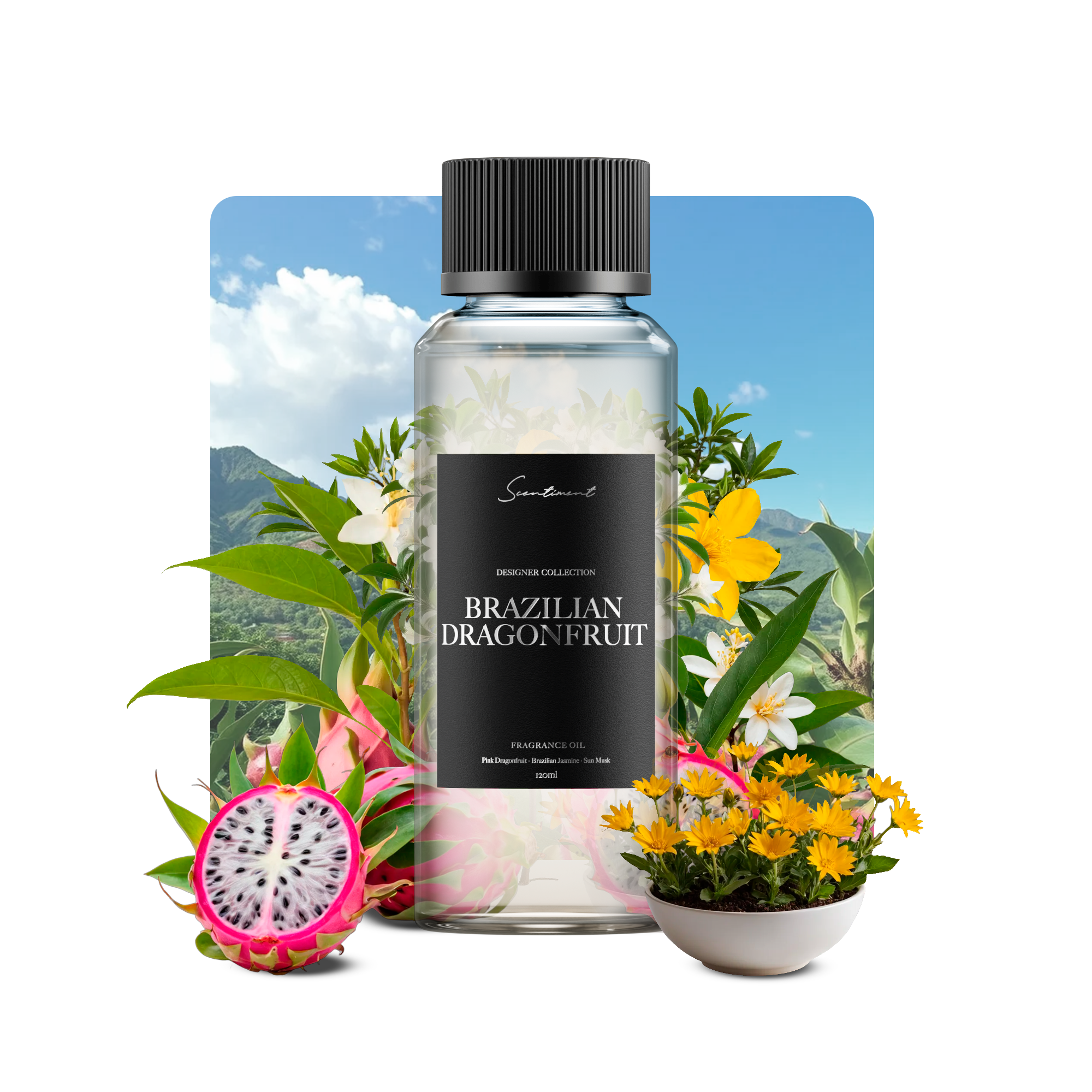 Brazilian Dragonfruit Fragrance Oil, inspired by Cheriosa 68