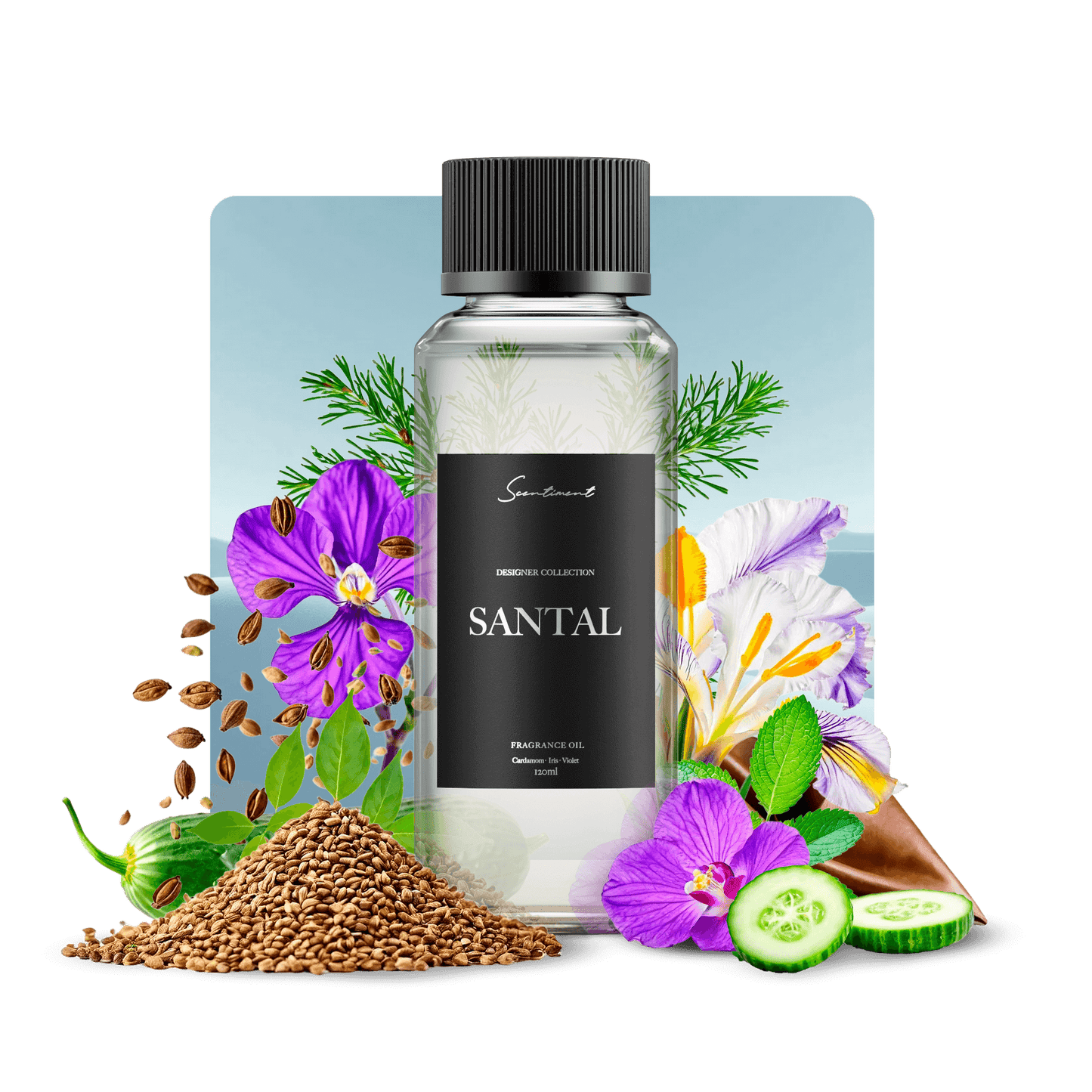 Santal Fragrance oil inspired by Santa 33®, with notes of Cardamom, Iris and Violet.