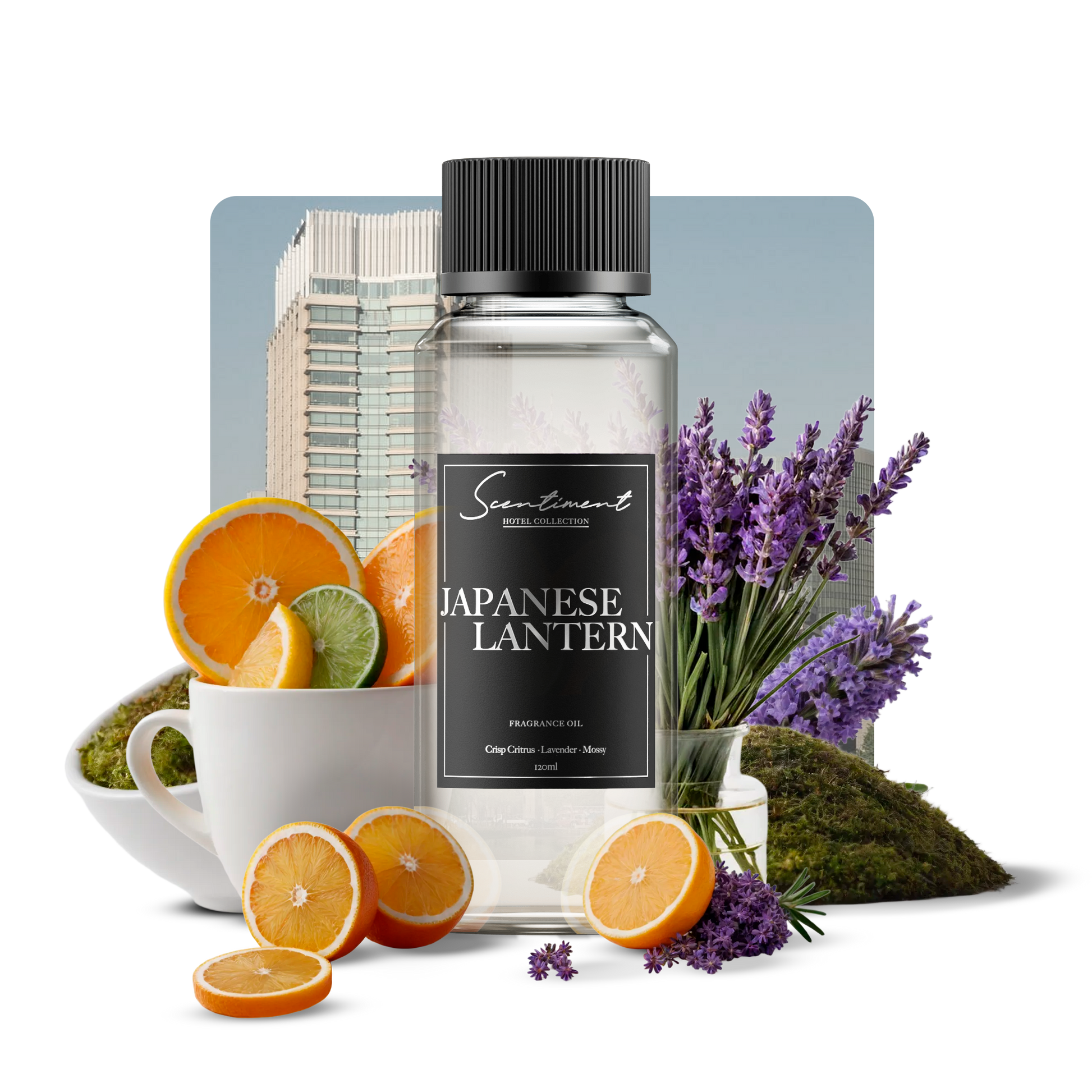 Japanese Lantern Fragrance Oil, inspired by The Peninsula Hotels®, with notes of Crisp Citrus, Lavender, and Moss.