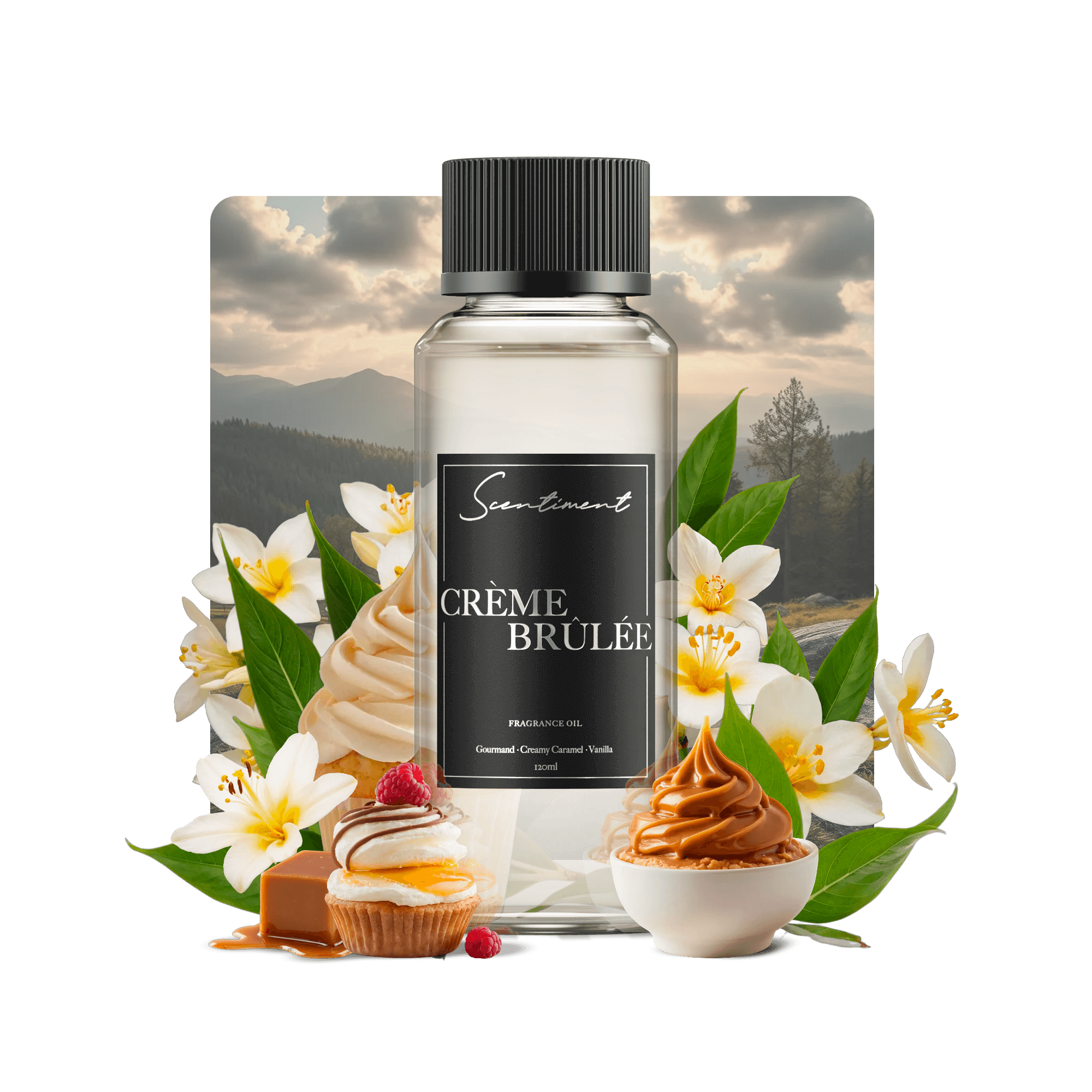 Creme Brulee Fragrance Oil with notes of Gourmand, Creamy Caramel, Vanilla, Touch of Chocolate