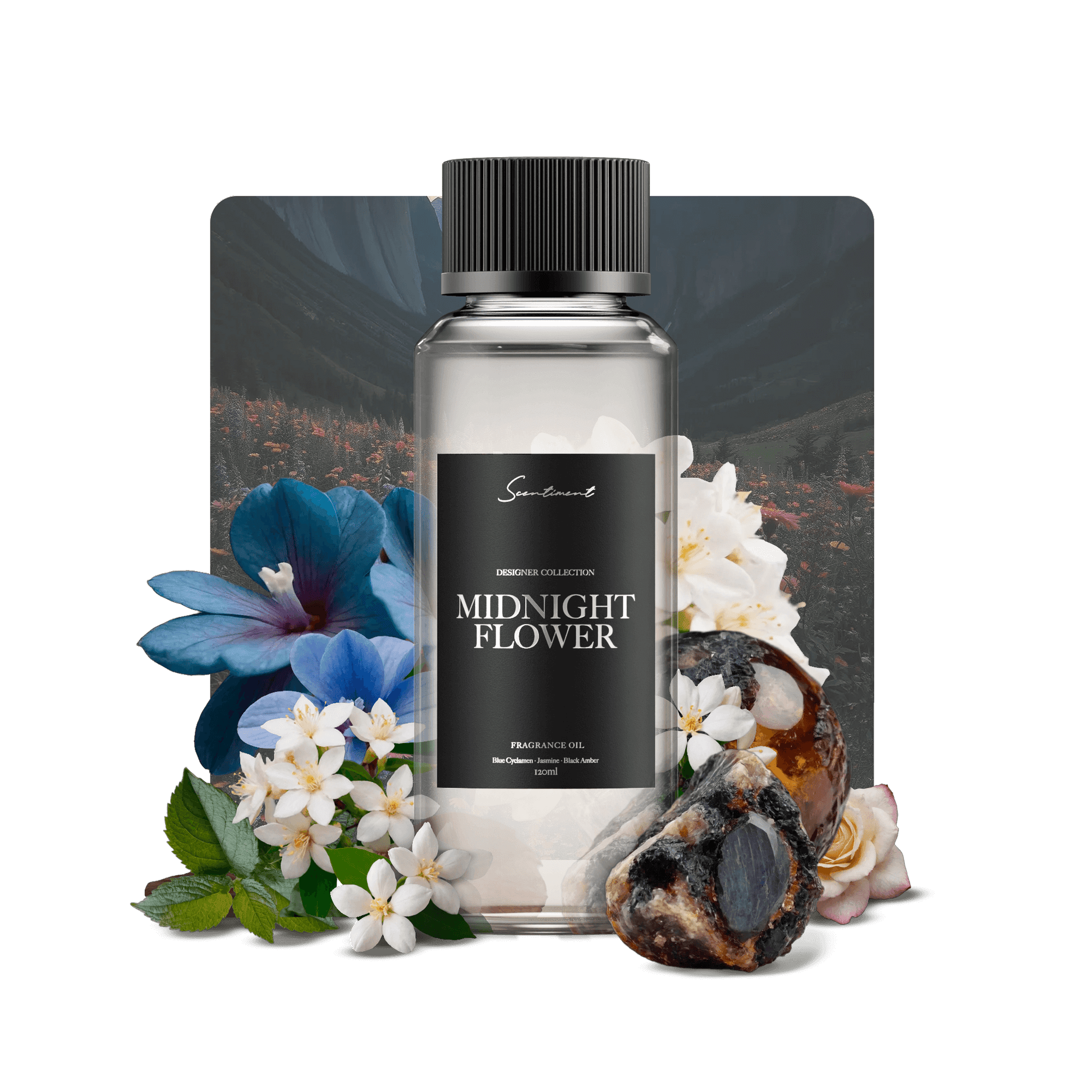 Midnight Flower Fragrance Oil Inspired by NEST® Midnight Fleur
