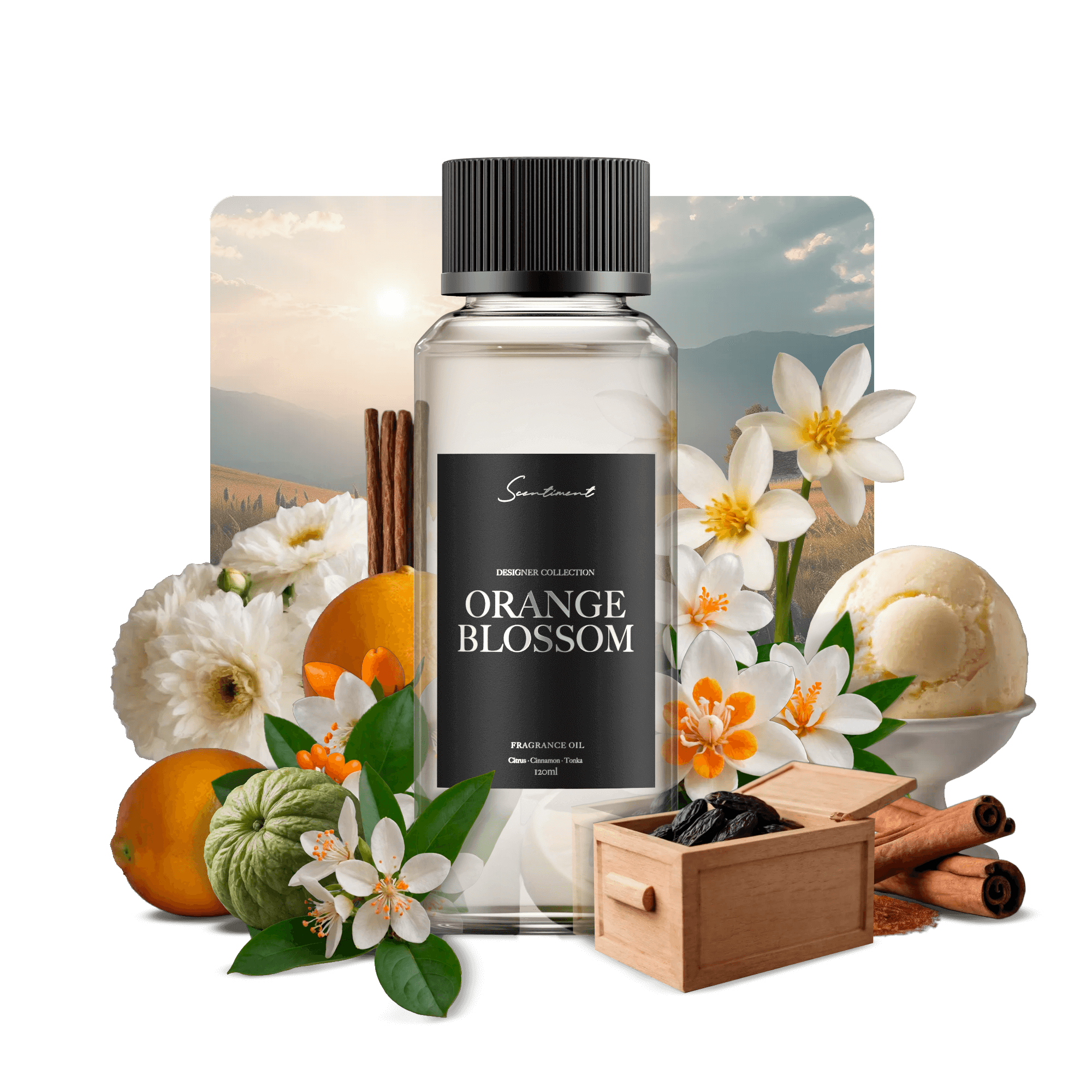 Orange Blossom Fragrance Oil,  Inspired by Fleur D'Oranger by Diptyque. 
