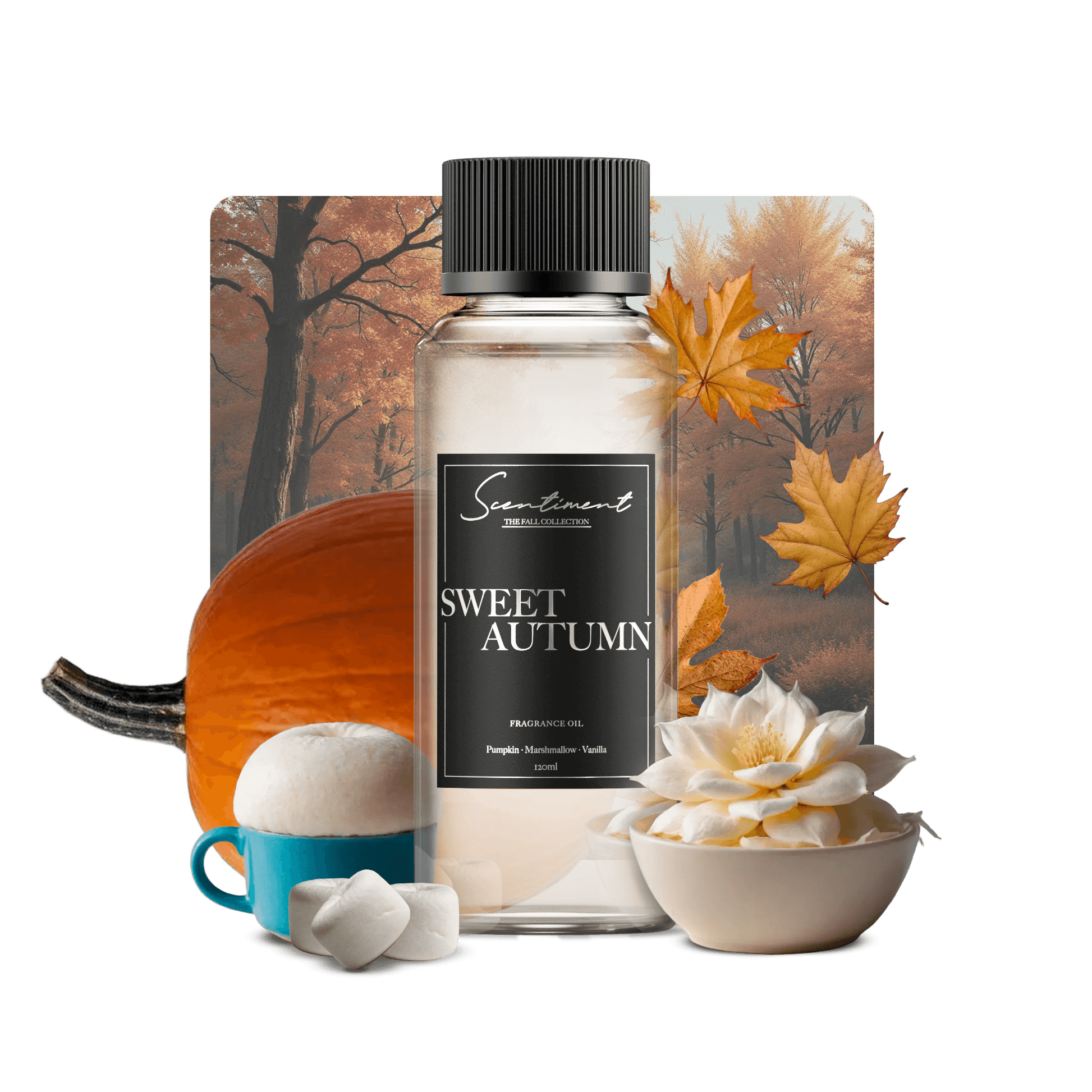 Sweet Autumn Fragrance Oil with notes of Pumpkin, Marshmallow, Cream, Vanilla