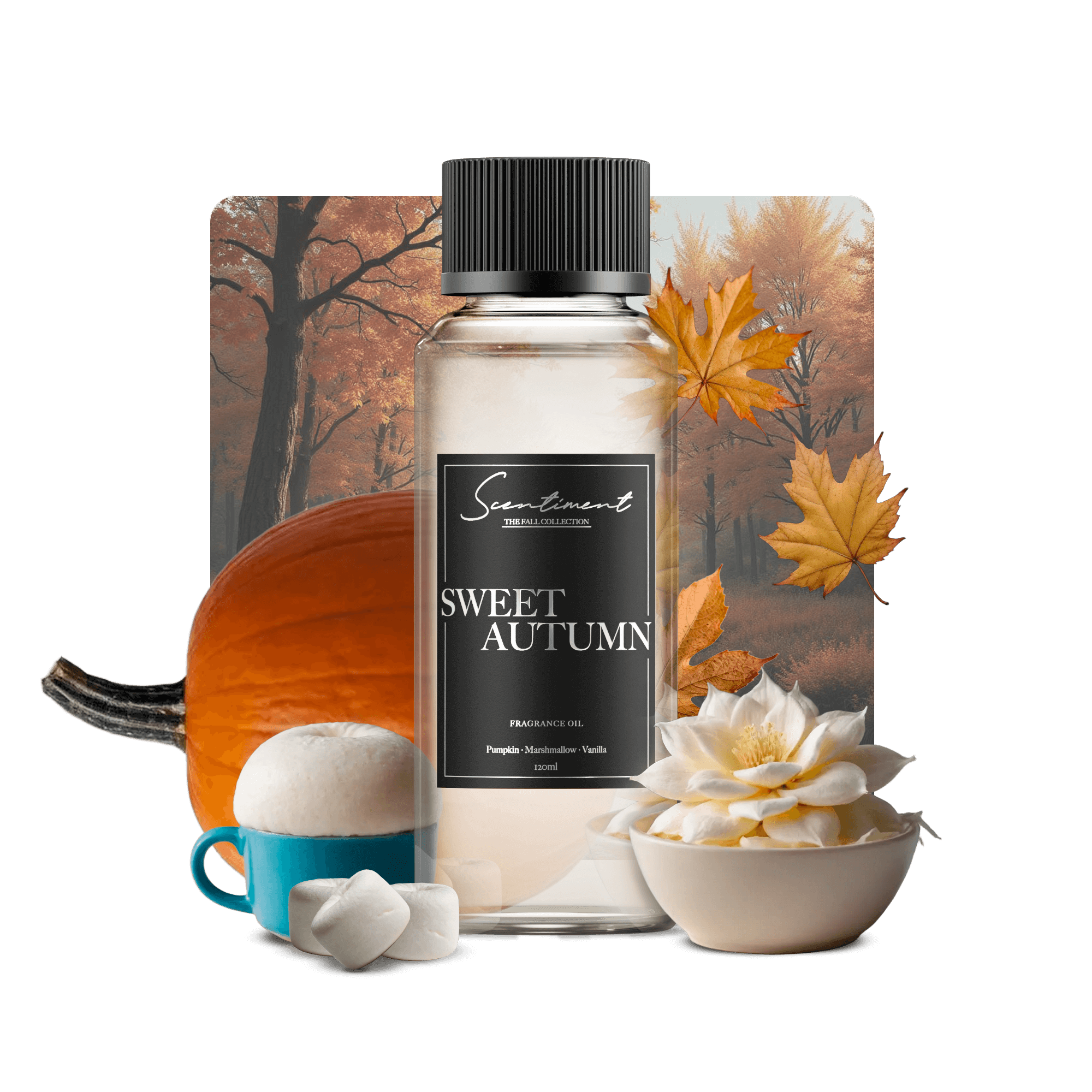 Sweet Autumn Fragrance Oil with notes of Pumpkin, Marshmallow, Cream, Vanilla