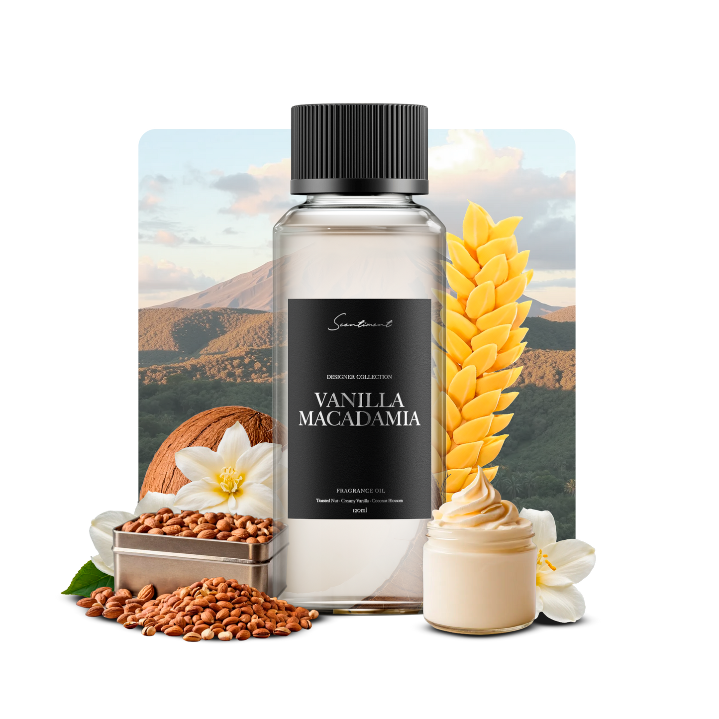 Vanilla Macadamia Fragrance Oil, Inspired by Cheriosa 71