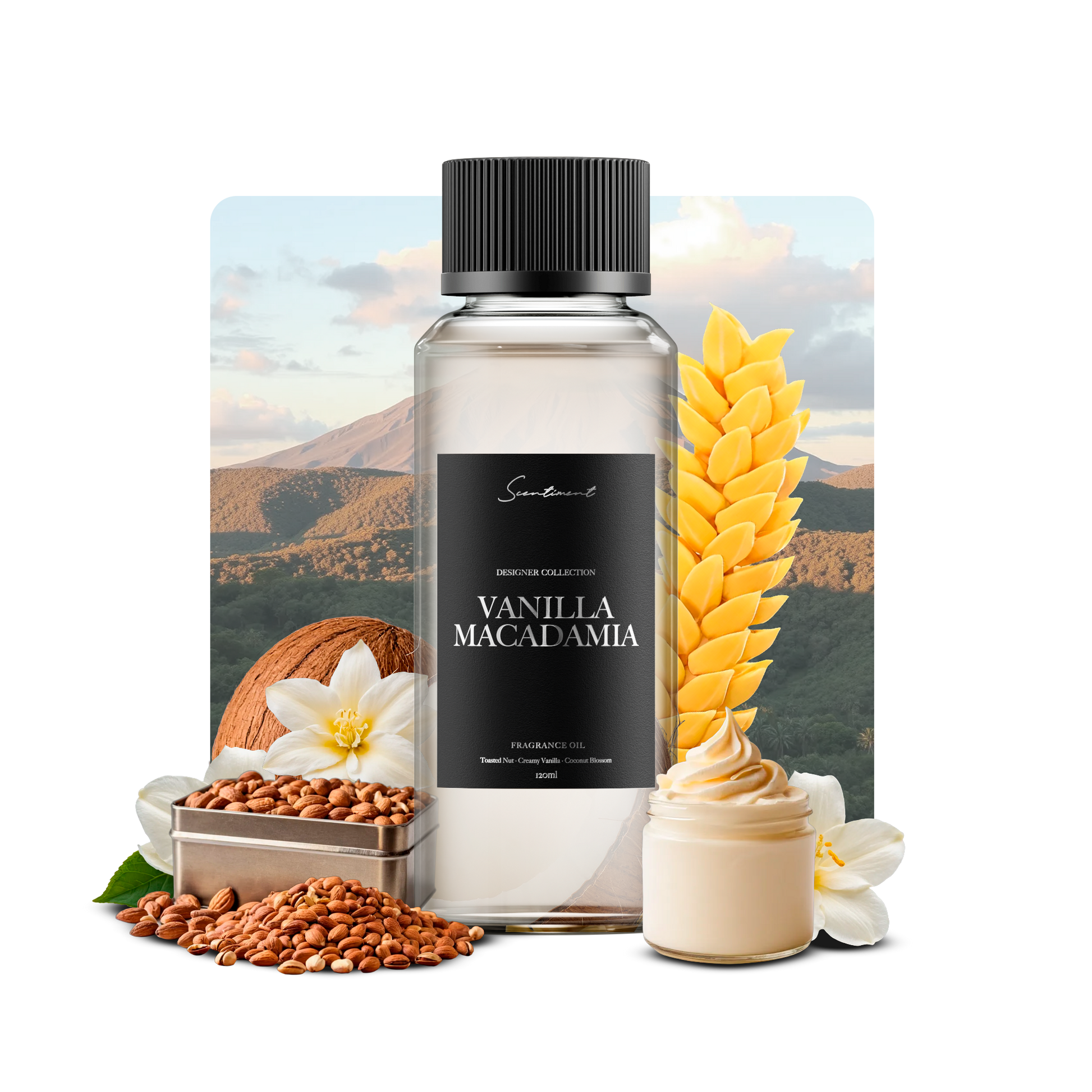 Vanilla Macadamia Fragrance Oil, Inspired by Cheriosa 71