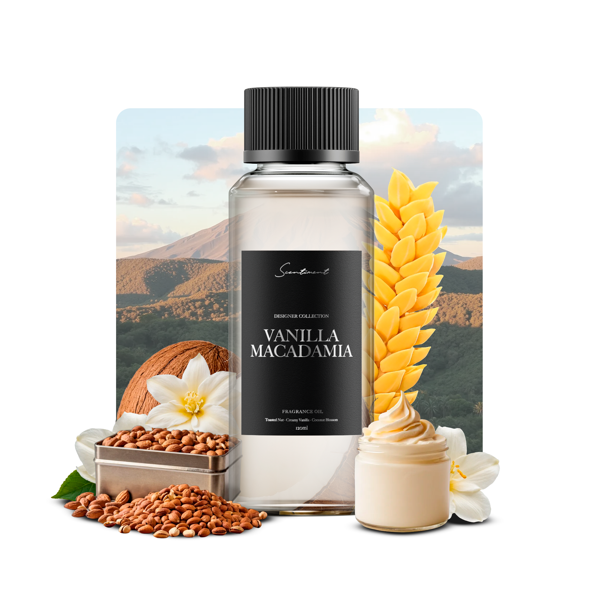 Vanilla Macadamia Fragrance Oil, Inspired by Cheriosa 71