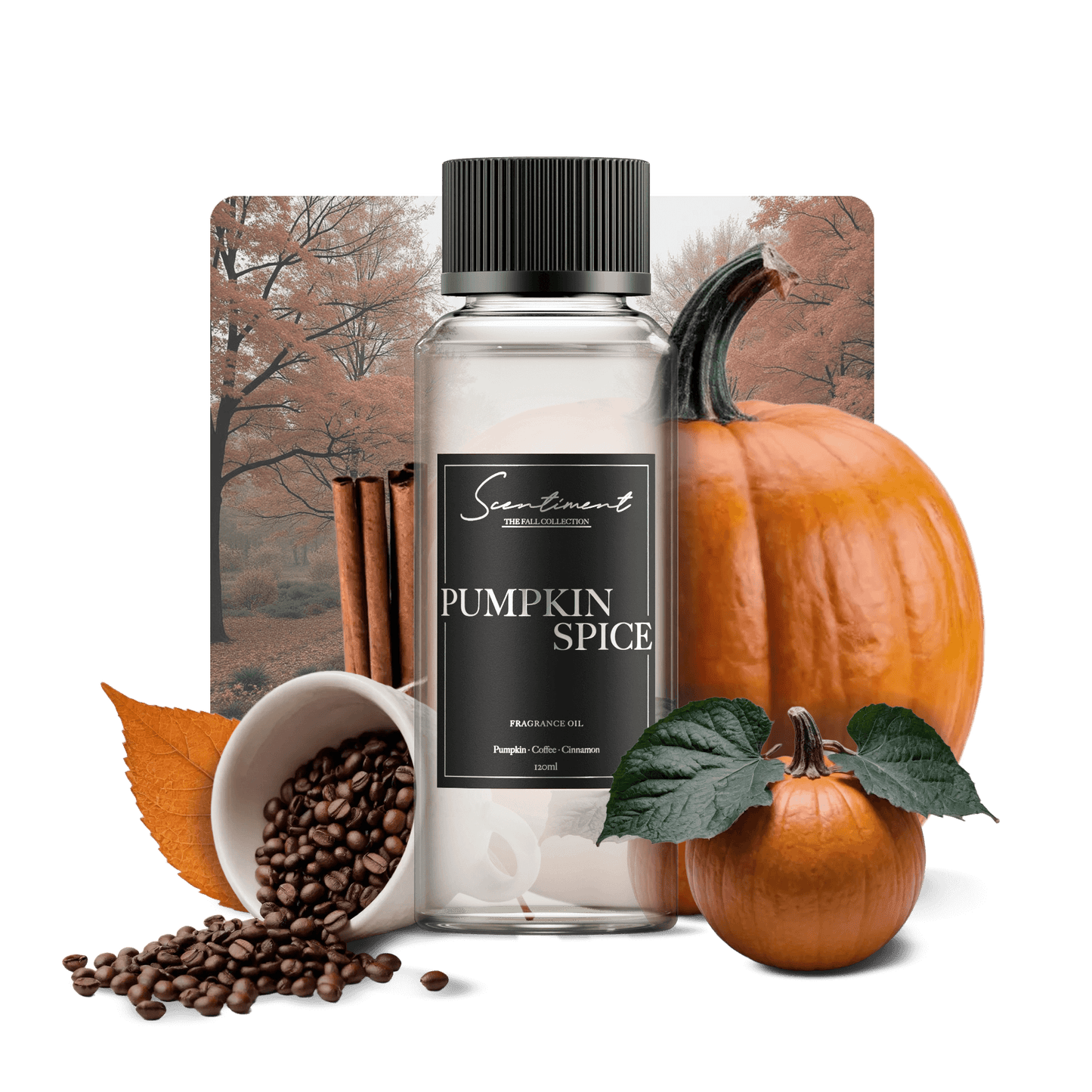 Pumpkin Spice Fragrance Oil with notes of Pumpkin, Coffee, and Cinnamon