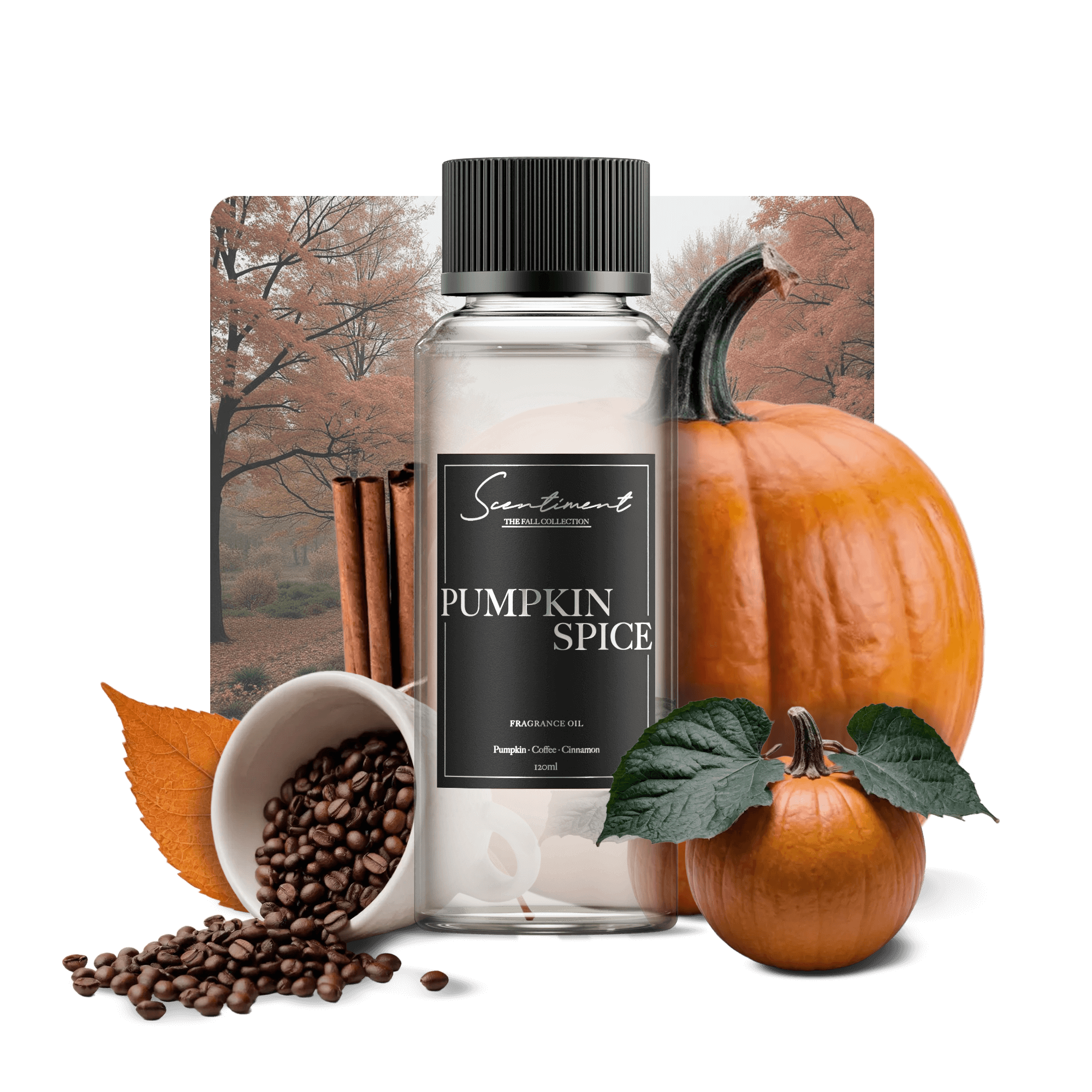 Pumpkin Spice Fragrance Oil with notes of Pumpkin, Coffee, and Cinnamon