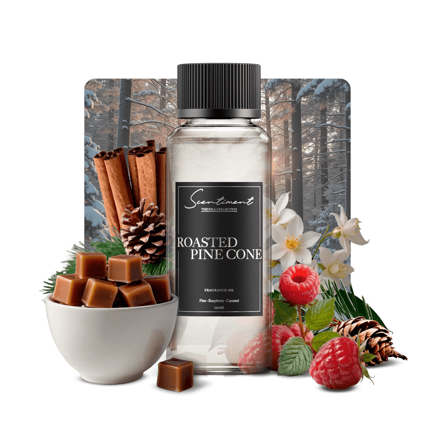 Roasted Pine Cone Fragrance Oil with notes of Pine, Raspberry, and Caramel.