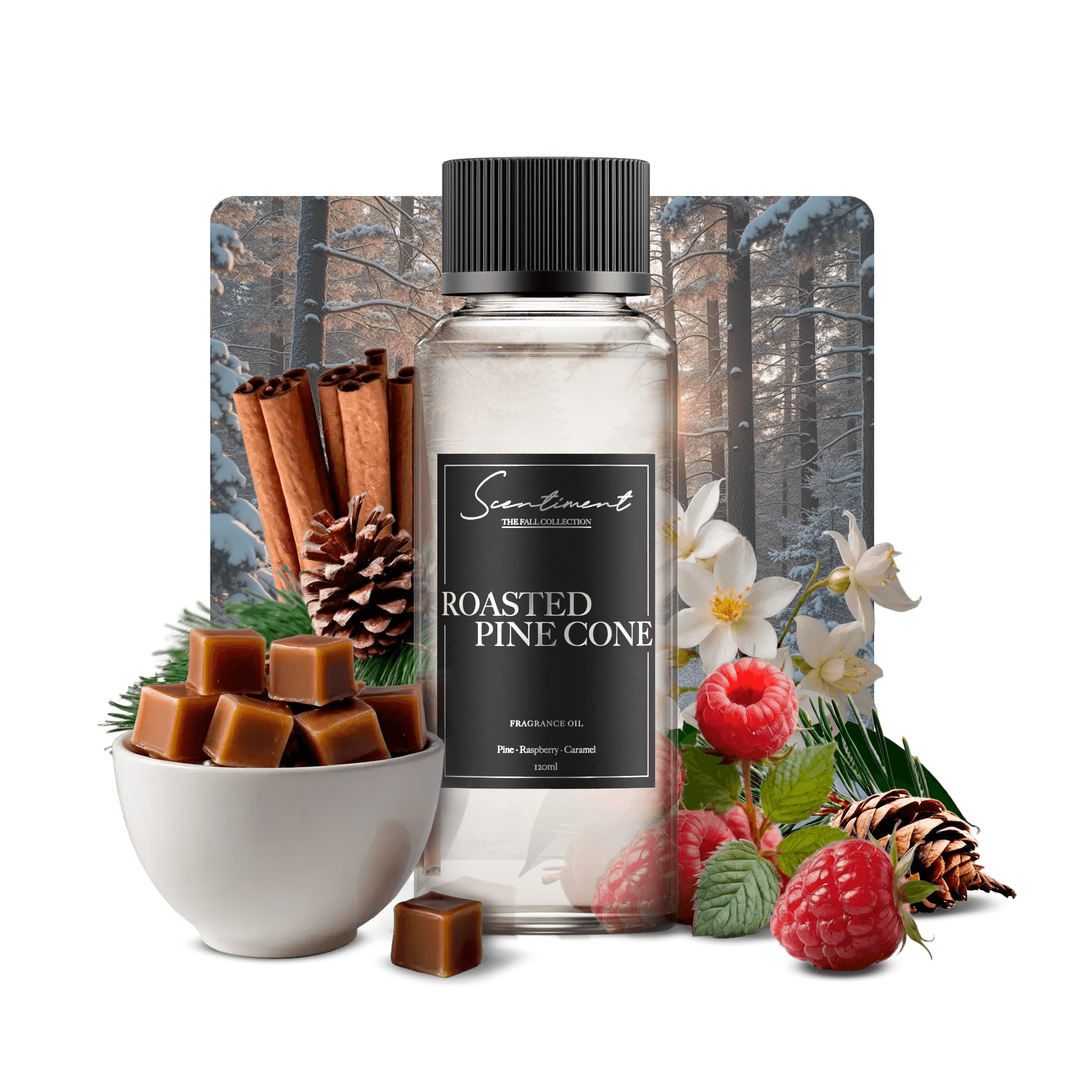 Roasted Pine Cone Fragrance Oil with notes of Pine, Raspberry, and Caramel.