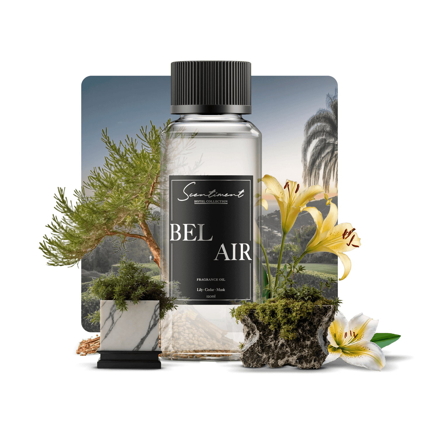 Bel Air Fragrance Oil with notes of Lily, Cedar, Musk