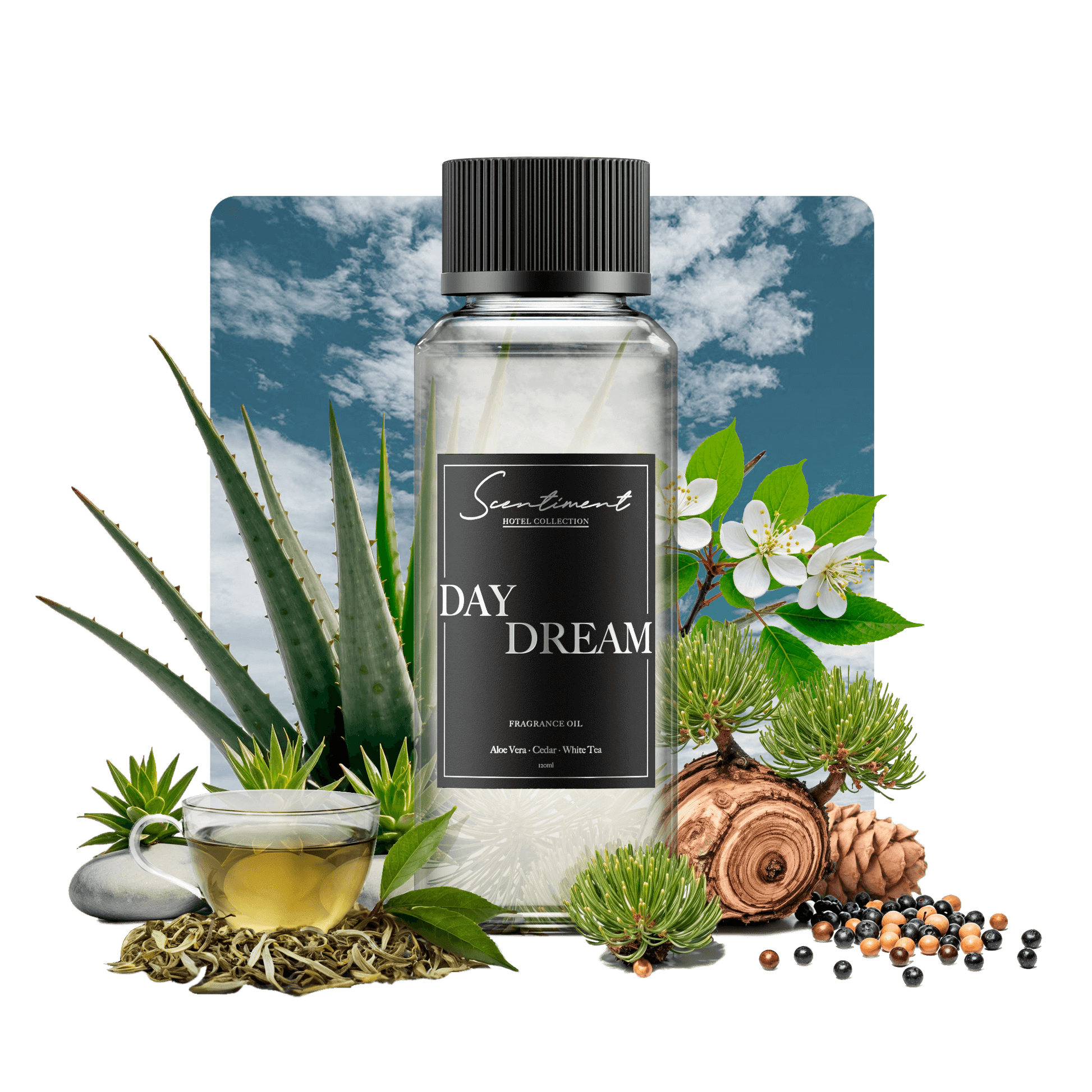 Day Dream Fragrance Oil Inspired by Westin® Hotels