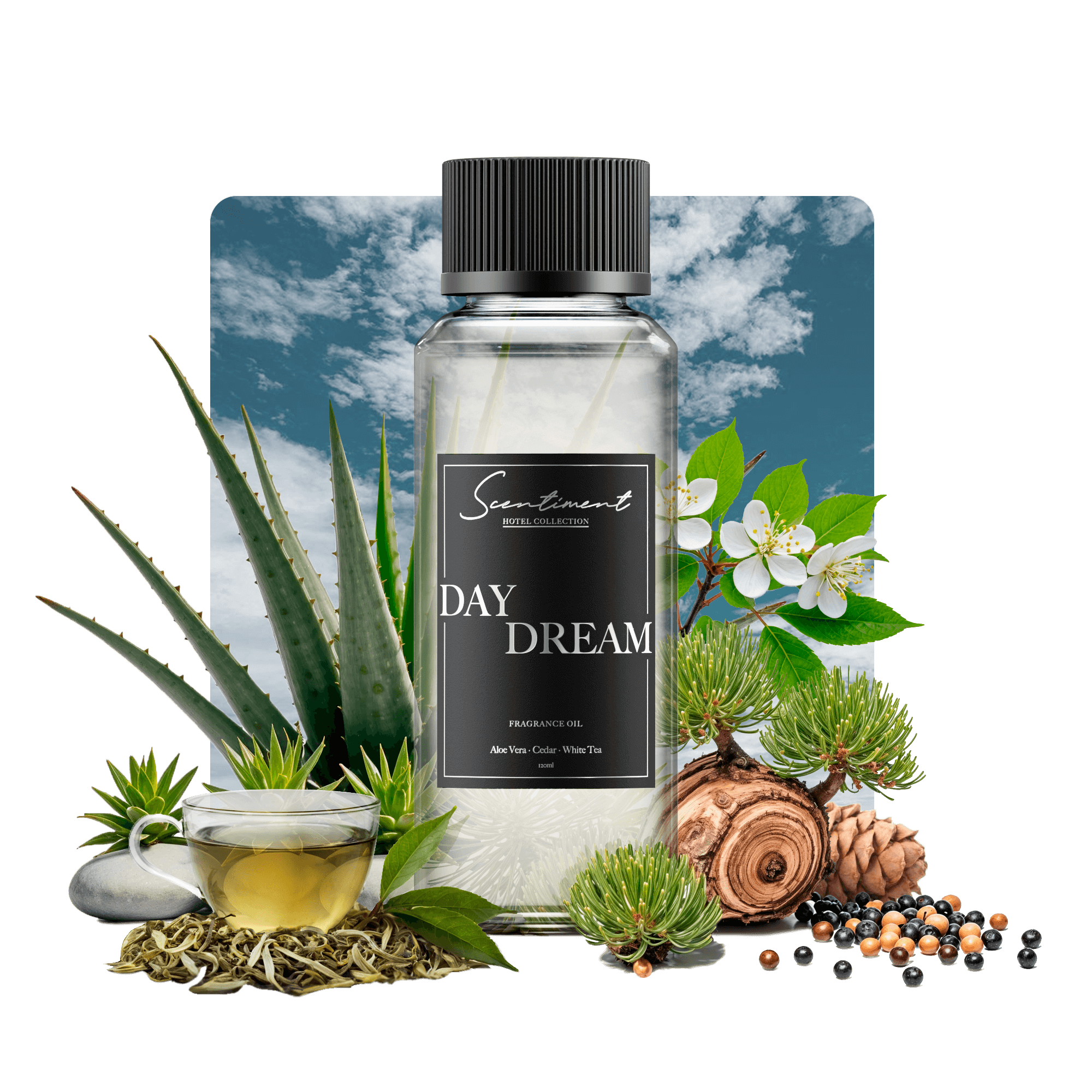 Day Dream Fragrance Oil Inspired by Westin® Hotels