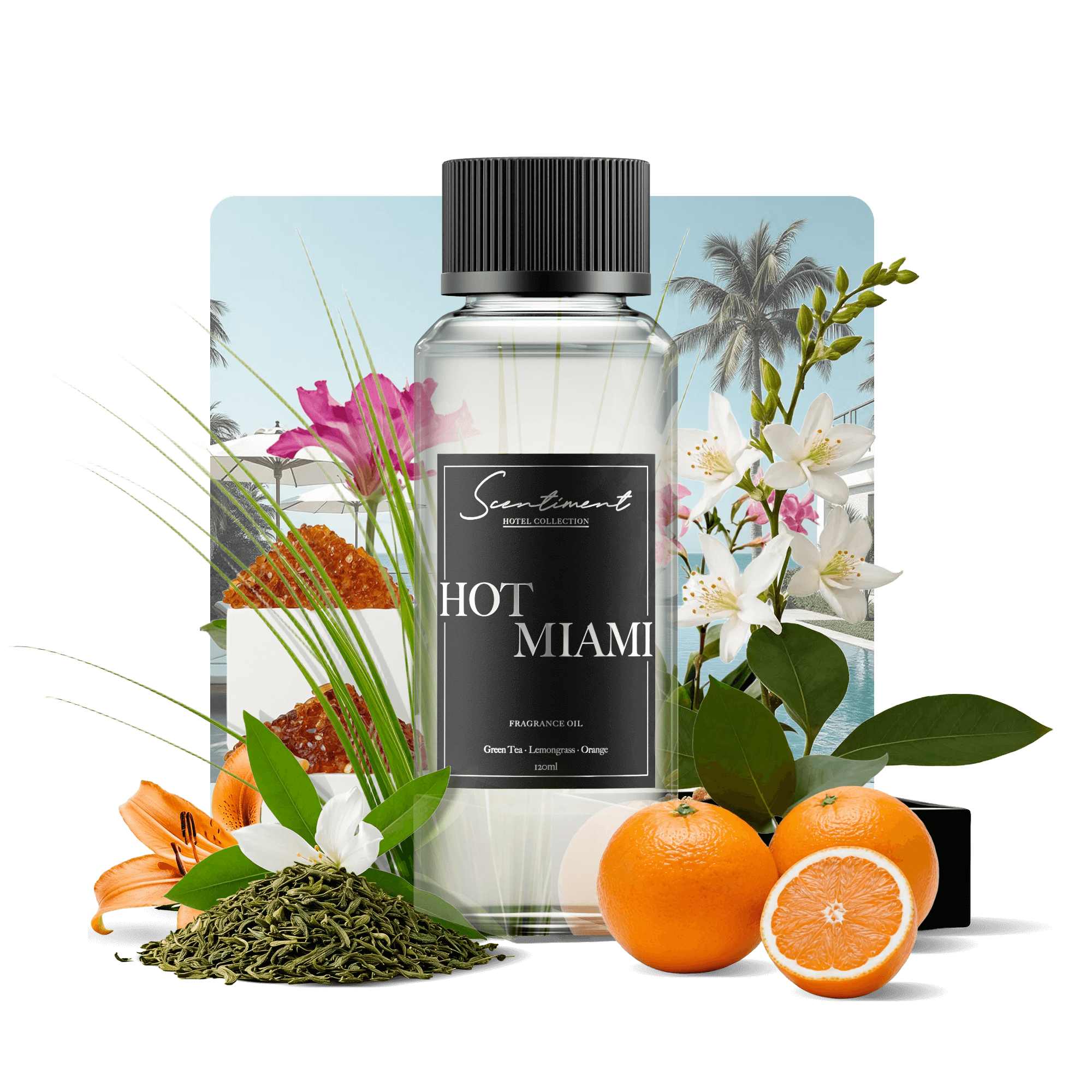 Hot Miami Fragrance Oil Inspired by Delano® Beach Club