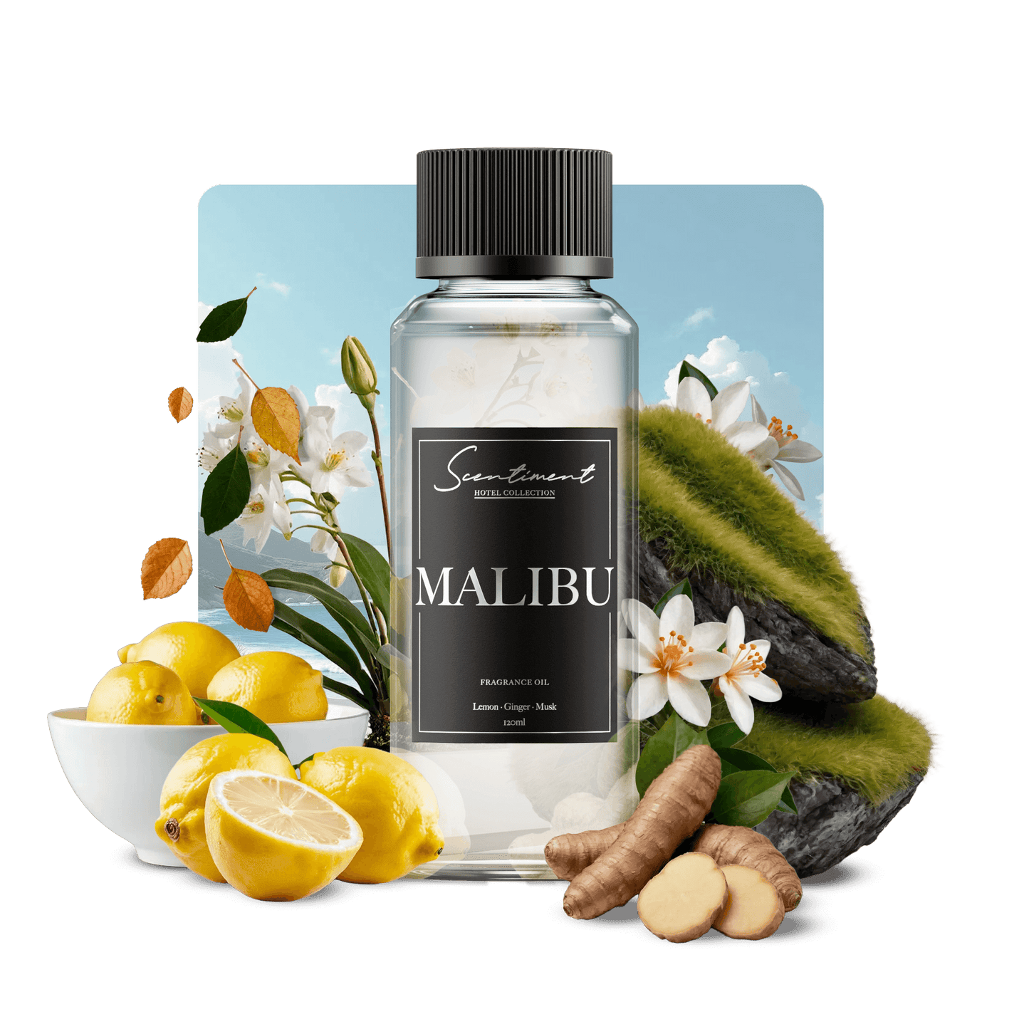 Malibu Fragrance Oil Inspired by Nobu® Hotel