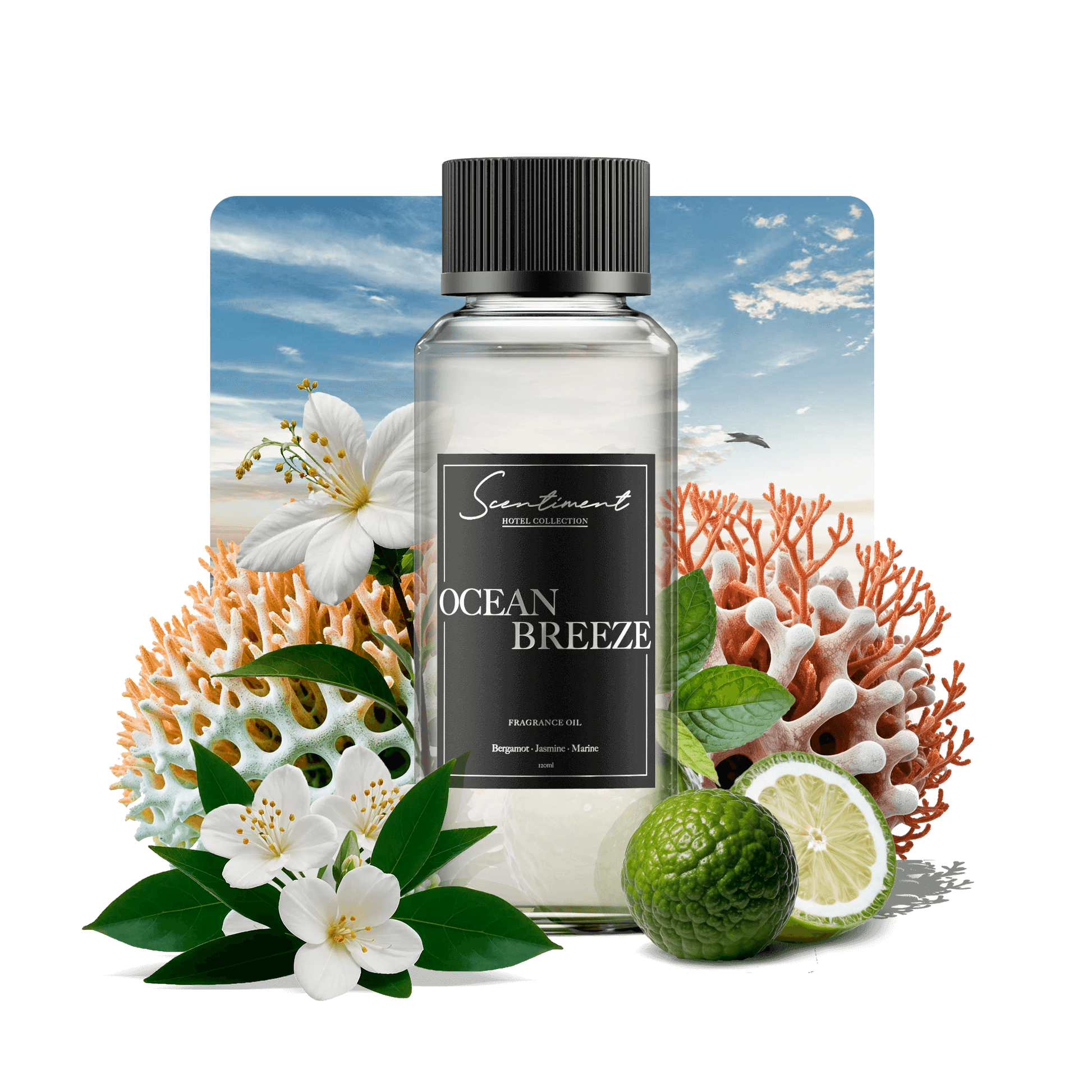 Ocean Breeze Fragrance Oil Inspired by Ritz-Carlton®