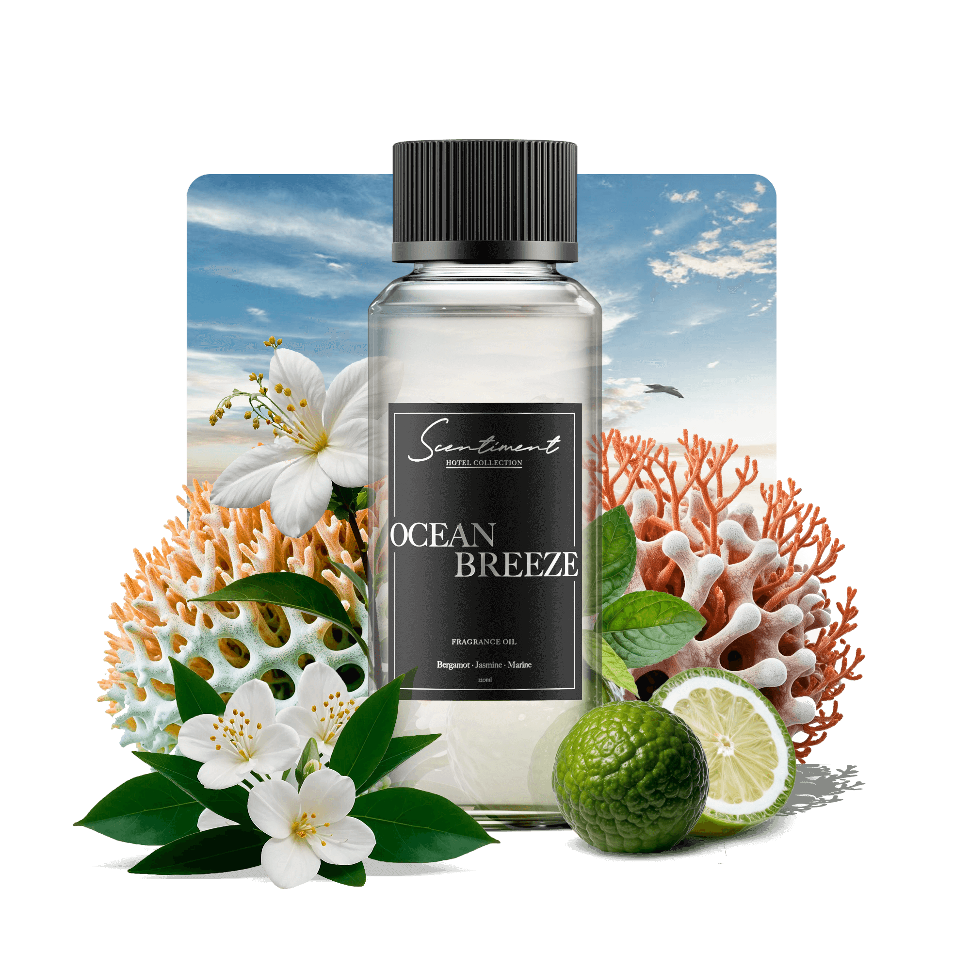 Ocean Breeze Fragrance Oil Inspired by Ritz-Carlton®