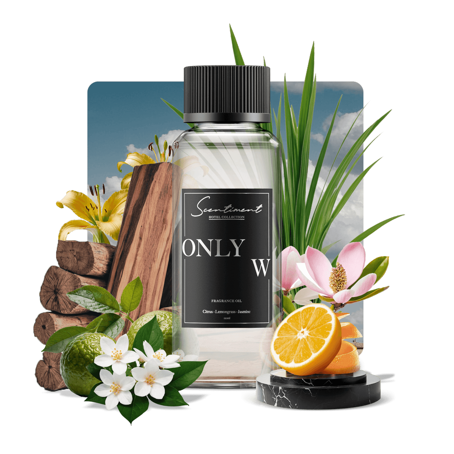 Only W Fragrance Oil Inspired by W Hotels®