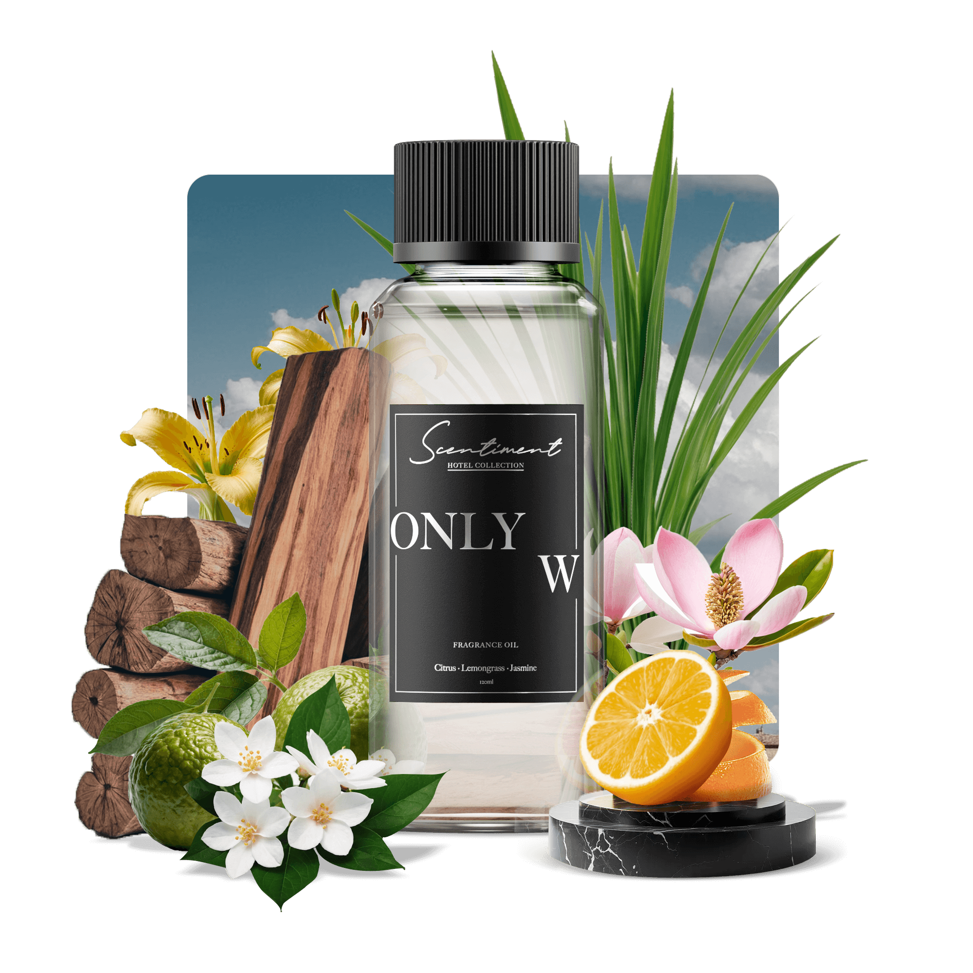 Only W Fragrance Oil Inspired by W Hotels®