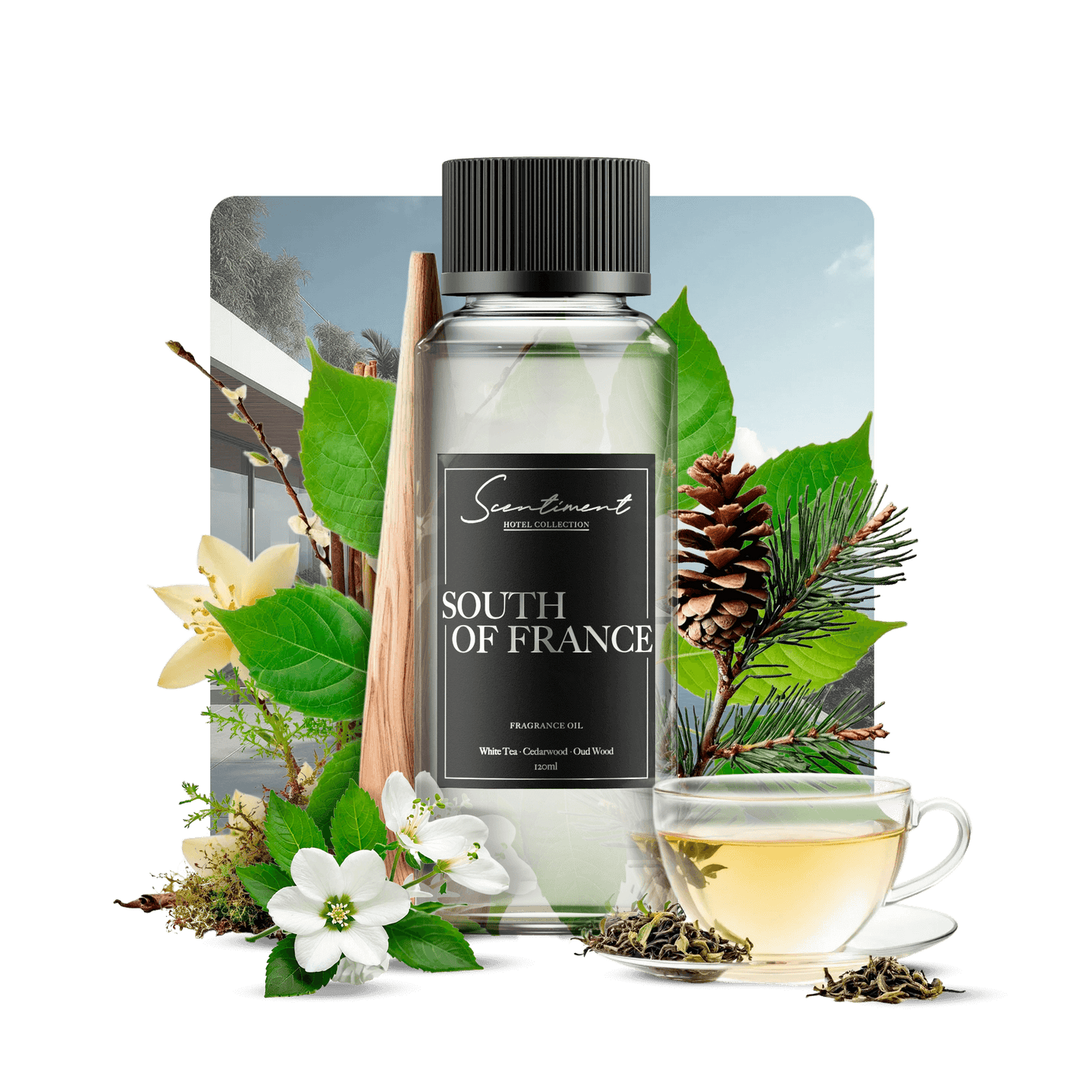 South of France Fragrance Oil  Inspired by Sofitel®