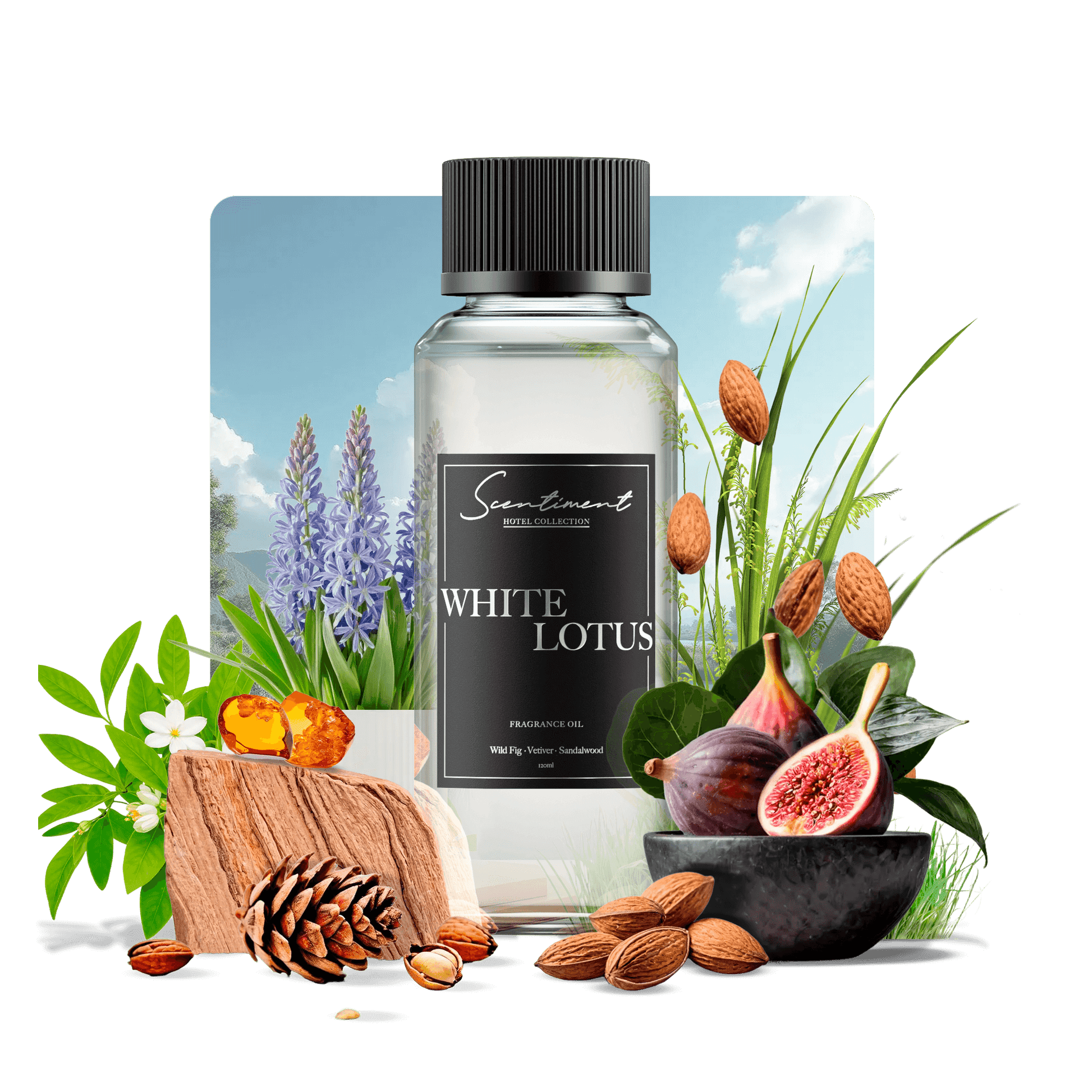 White Lotus Fragrance Oil Inspired by Four Seasons®