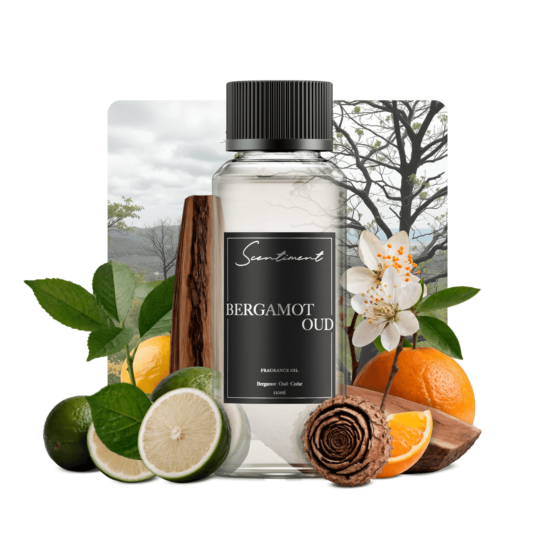 Bergamot Oud Fragrance Oil with notes of Orange, Bergamot, Lemon, Oud, Cedar
