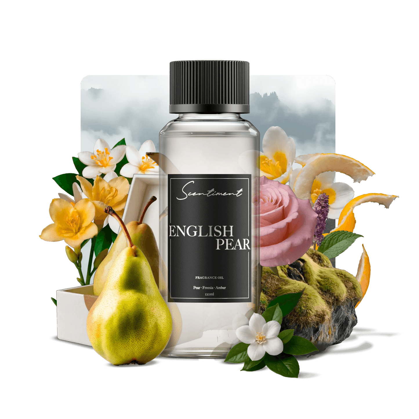 English Pear Fragrance Oil with notes of Pear, Freesia, Musk