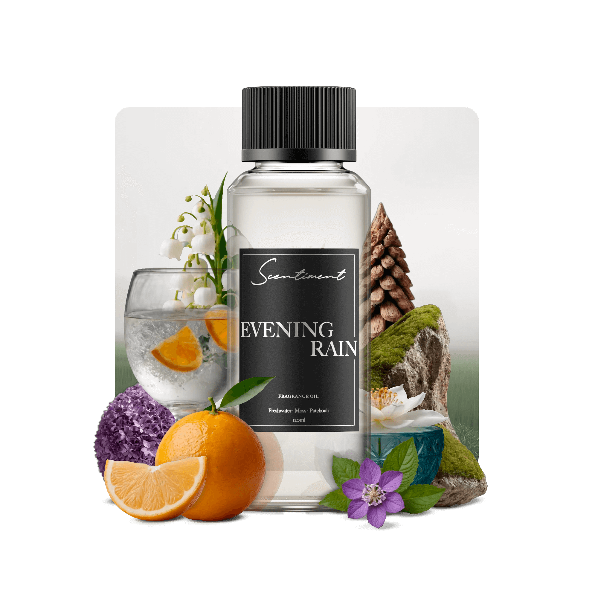 Evening Rain Fragrance Oil with notes of Dewy Citrus, Moss, Earthy Musk