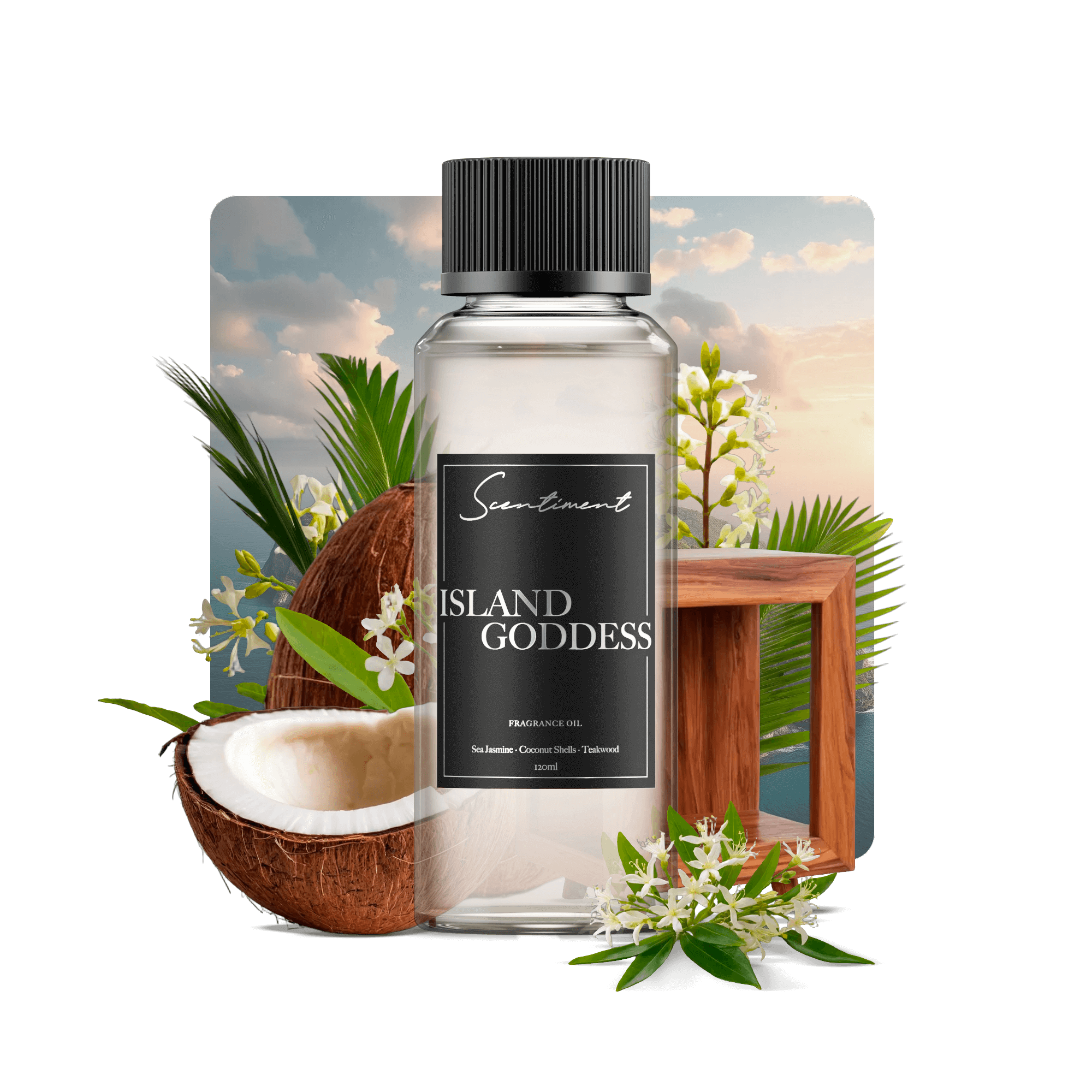 Island Goddess Fragrance Oil with notes of Sea Jasmine, Sugared Plantains, Coconut Shells, Teakwood, Sandalwood Musk, Seaweed