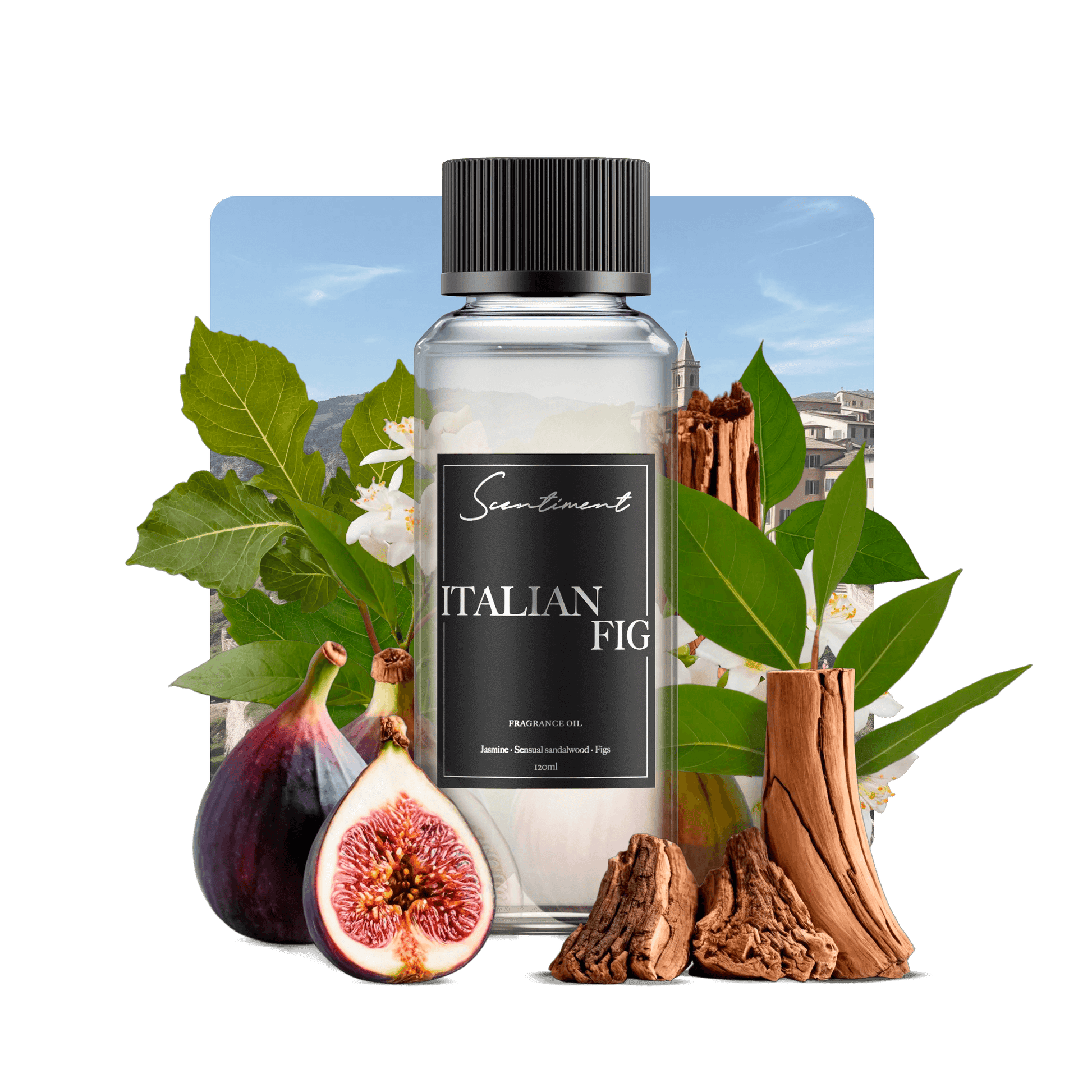 Italian Fig Fragrance Oil with notes of Italian Figs, Jasmine, Sensual Sandalwood