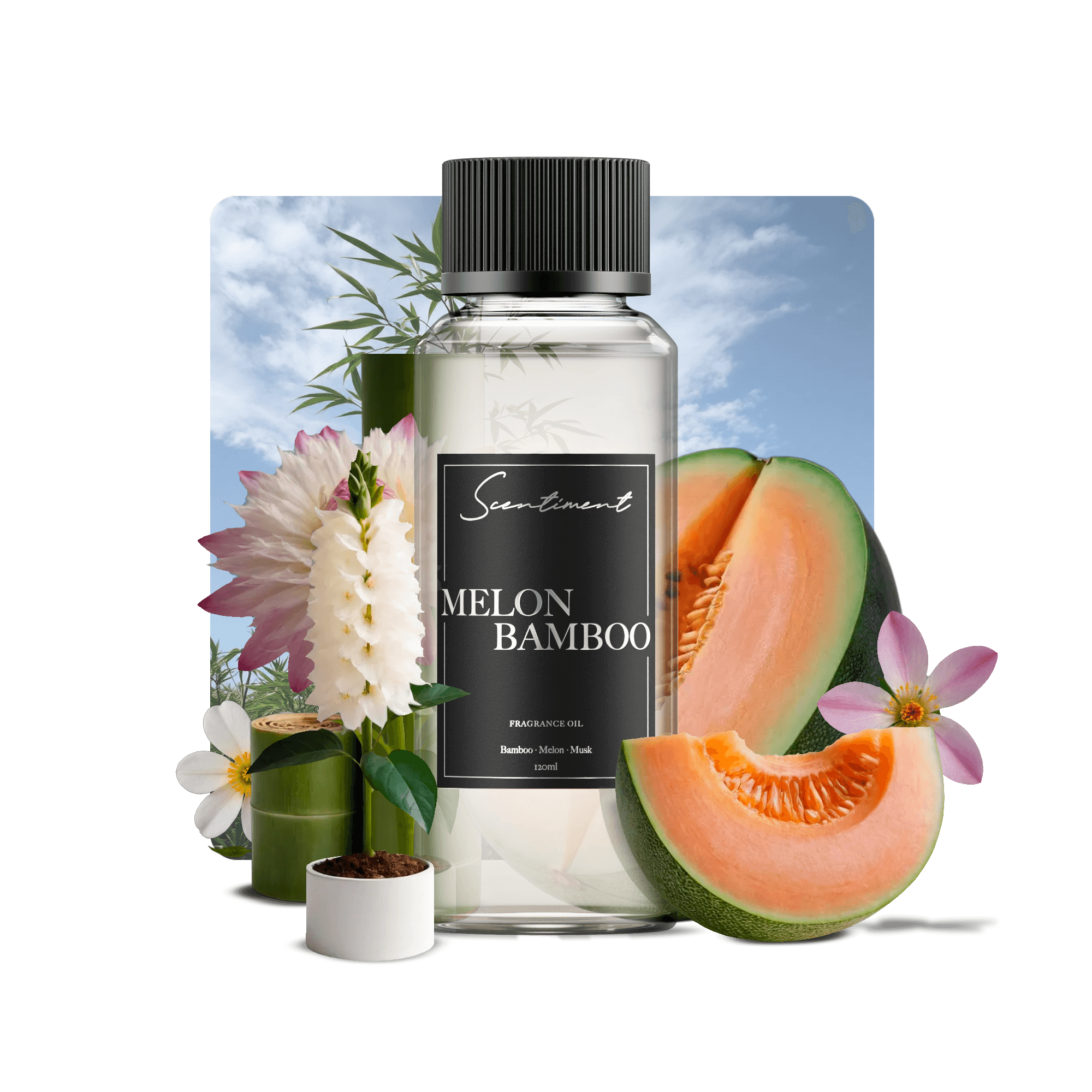 Melon Bamboo Fragrance Oil with notes of Bamboo, Melon, Musk
