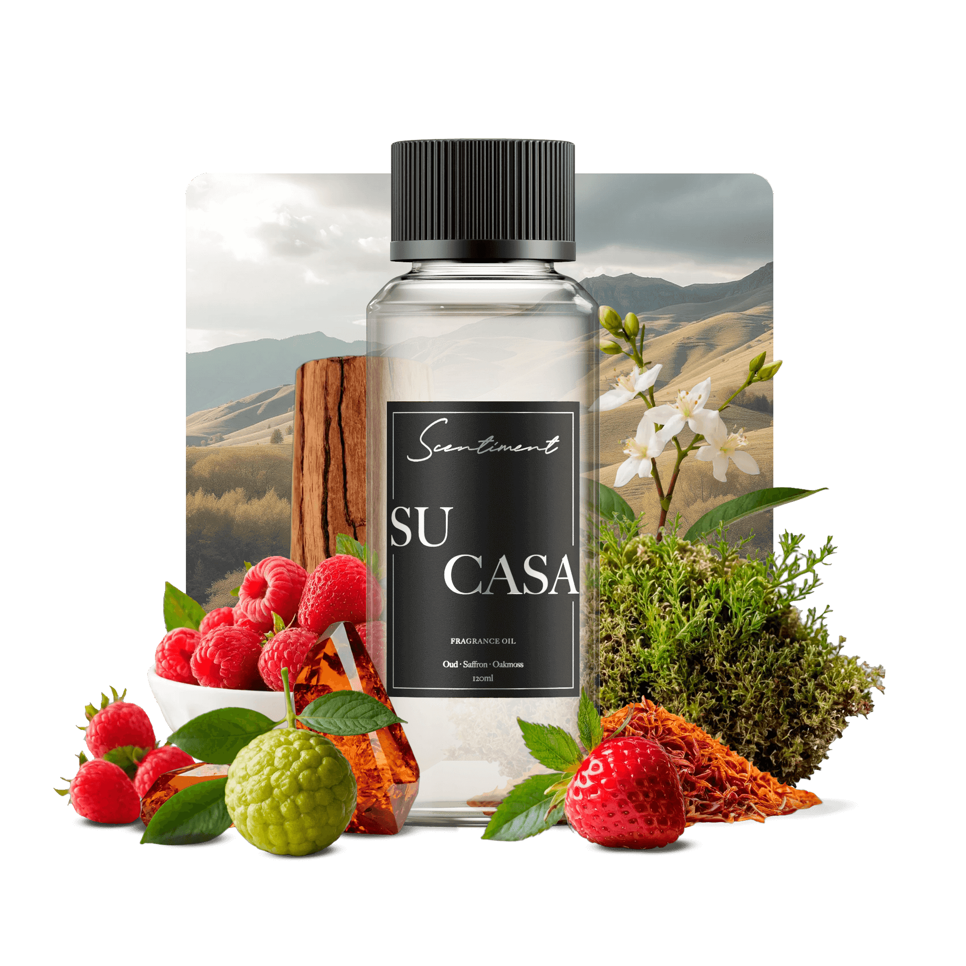 Su Casa Fragrance Oil with notes of Oud, Seffron, Oakmoss