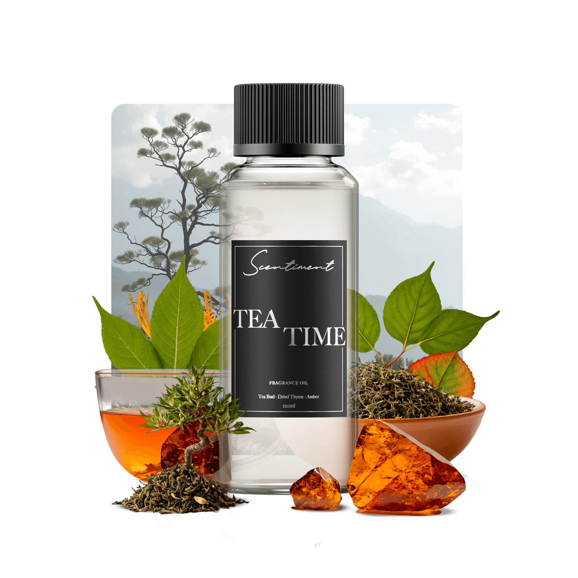 Tea Time Fragrance Oil with notes of Tea Bud, Dried Thyme, Amber, Musk