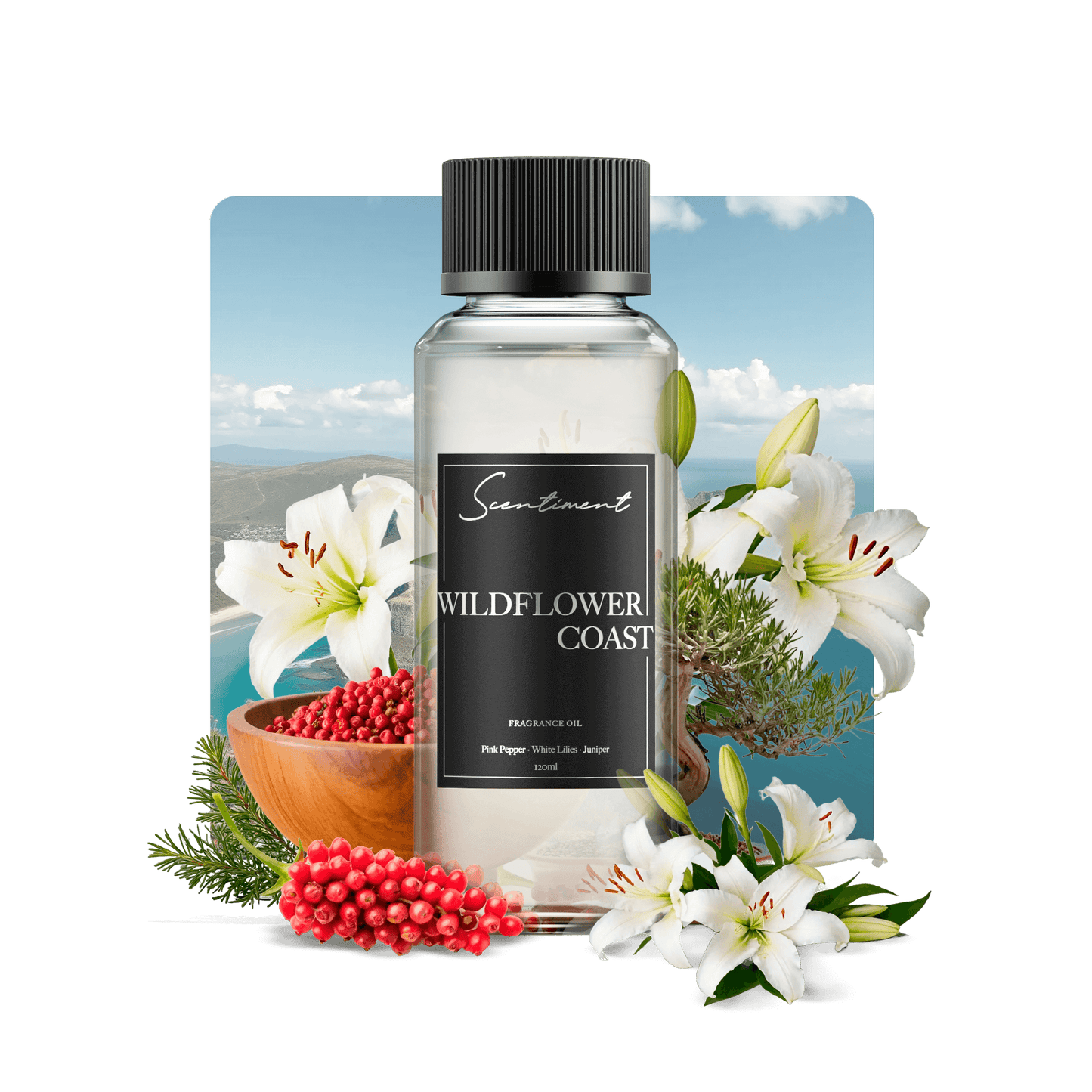 Wildflower Coast Fragrance Oil with notes of Pink Pepper, Jasmine, White Lilies, Juniper, Ambrette Seed, Driftwood