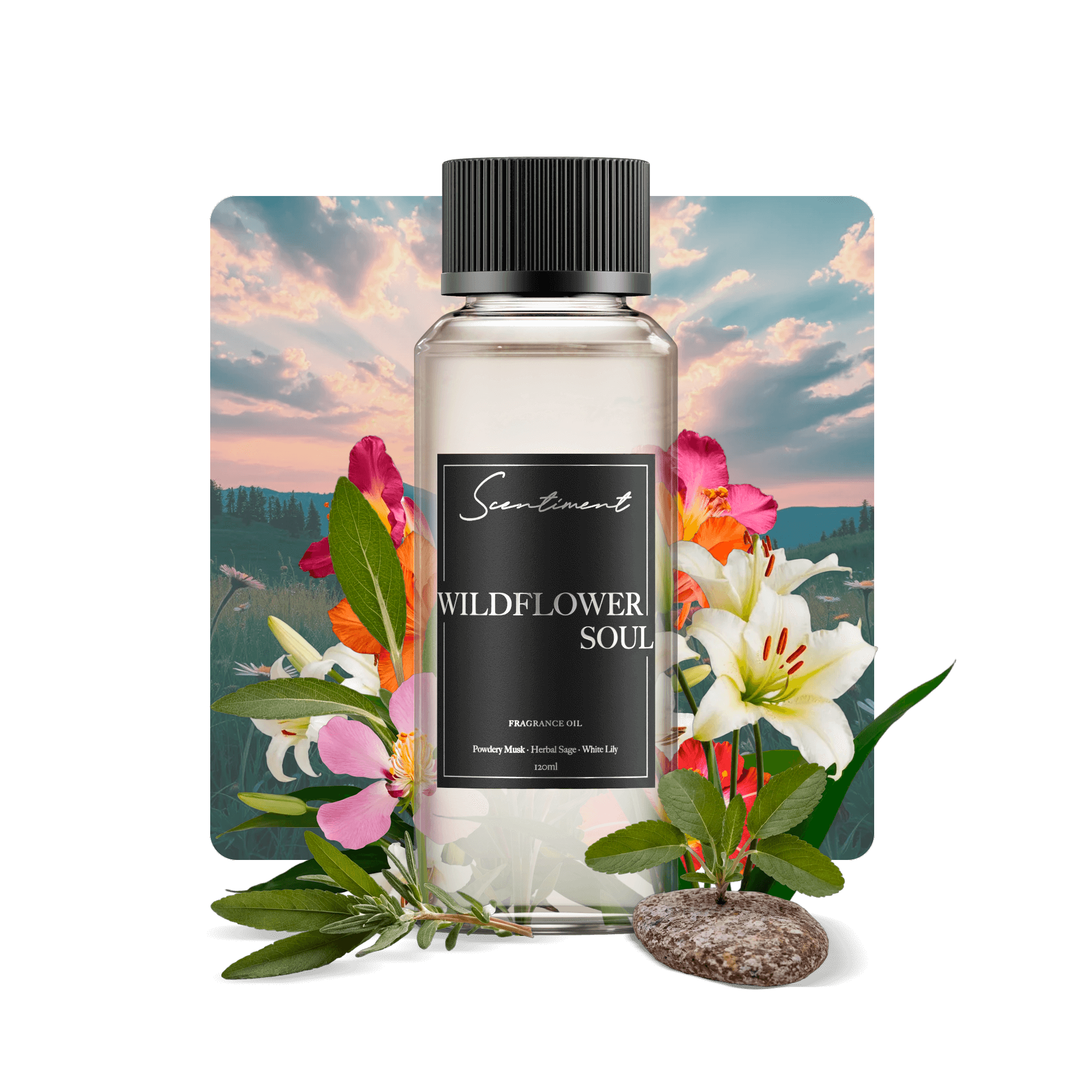 Wildflower Soul Fragrance Oil with notes of Velvety Cedarwood, Powdery Musk, and Amber, Herbal Sage, White Lily, and Earthy, Petitgrain