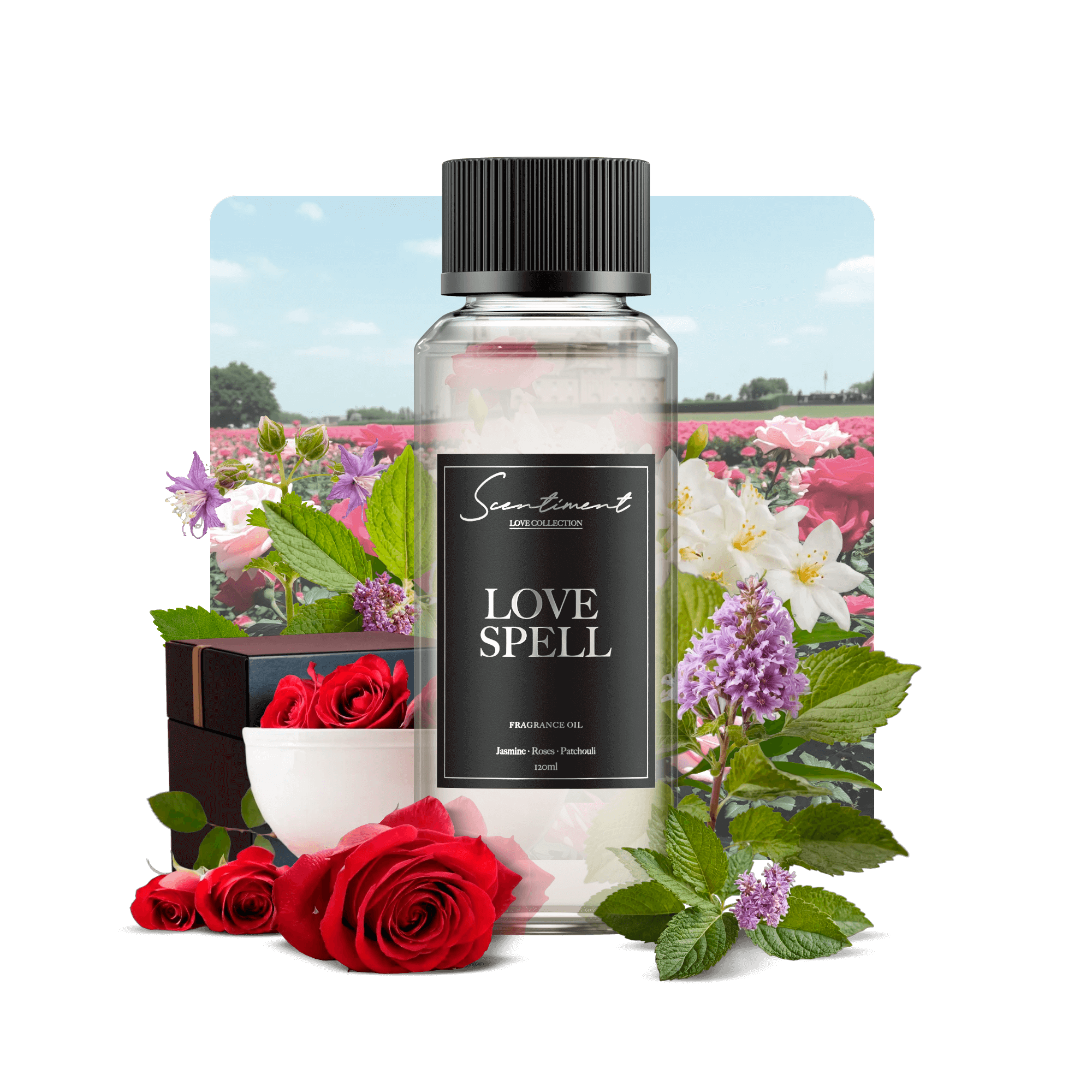 Love Spell Fragrance Oil with notes of Jasmine, Roses, Patchouli