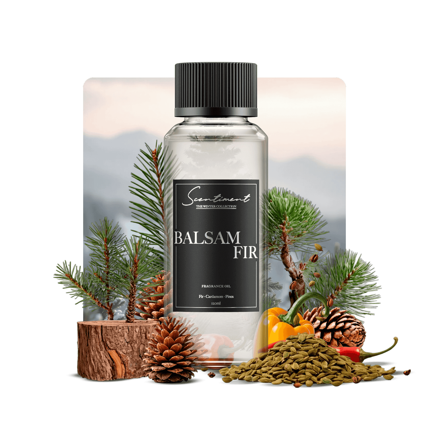 Balsam Fir Fragrance Oil with notes of Fir Balsam, Pine, Cardamom, Pepper, Scotch Pine