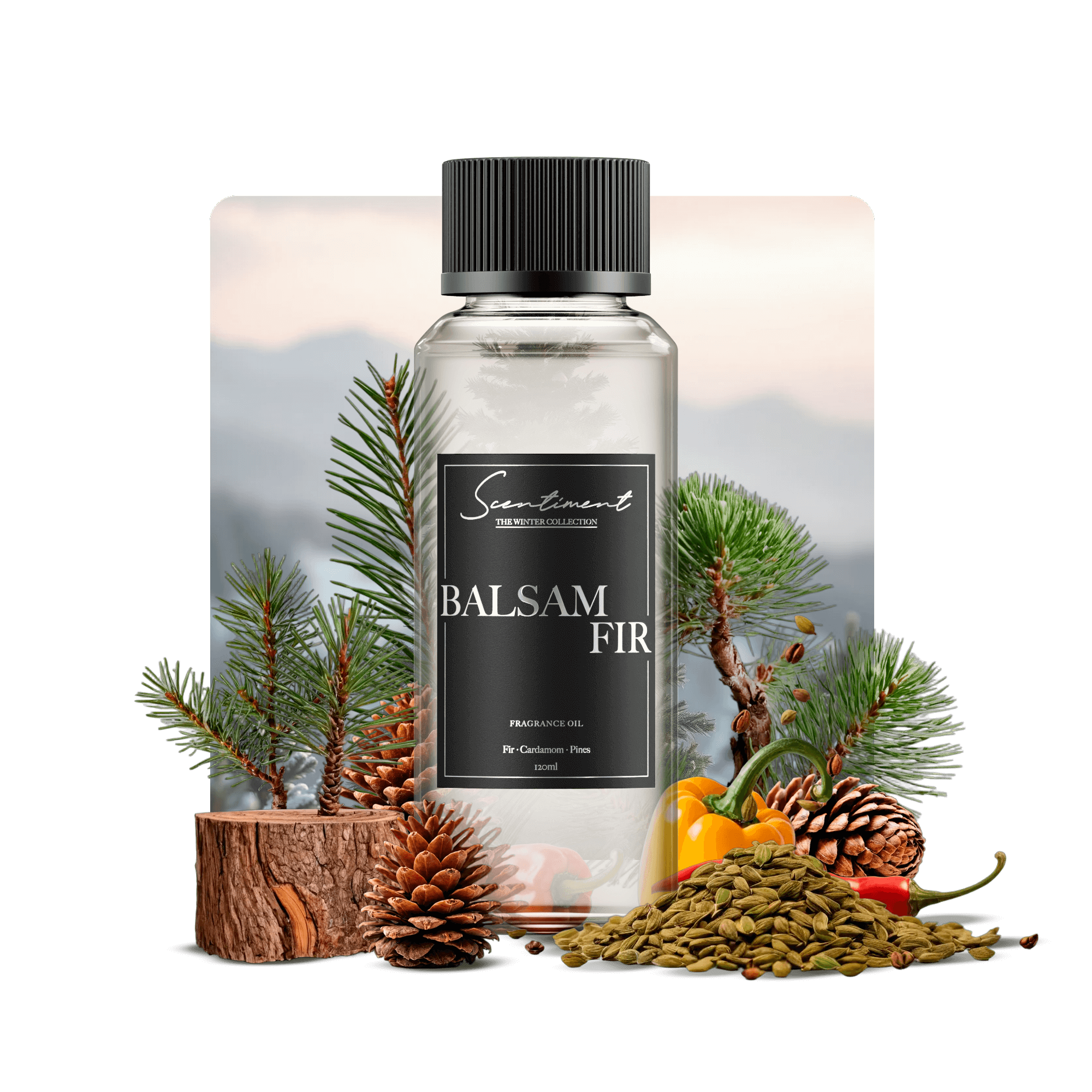 Balsam Fir Fragrance Oil with notes of Fir Balsam, Pine, Cardamom, Pepper, Scotch Pine