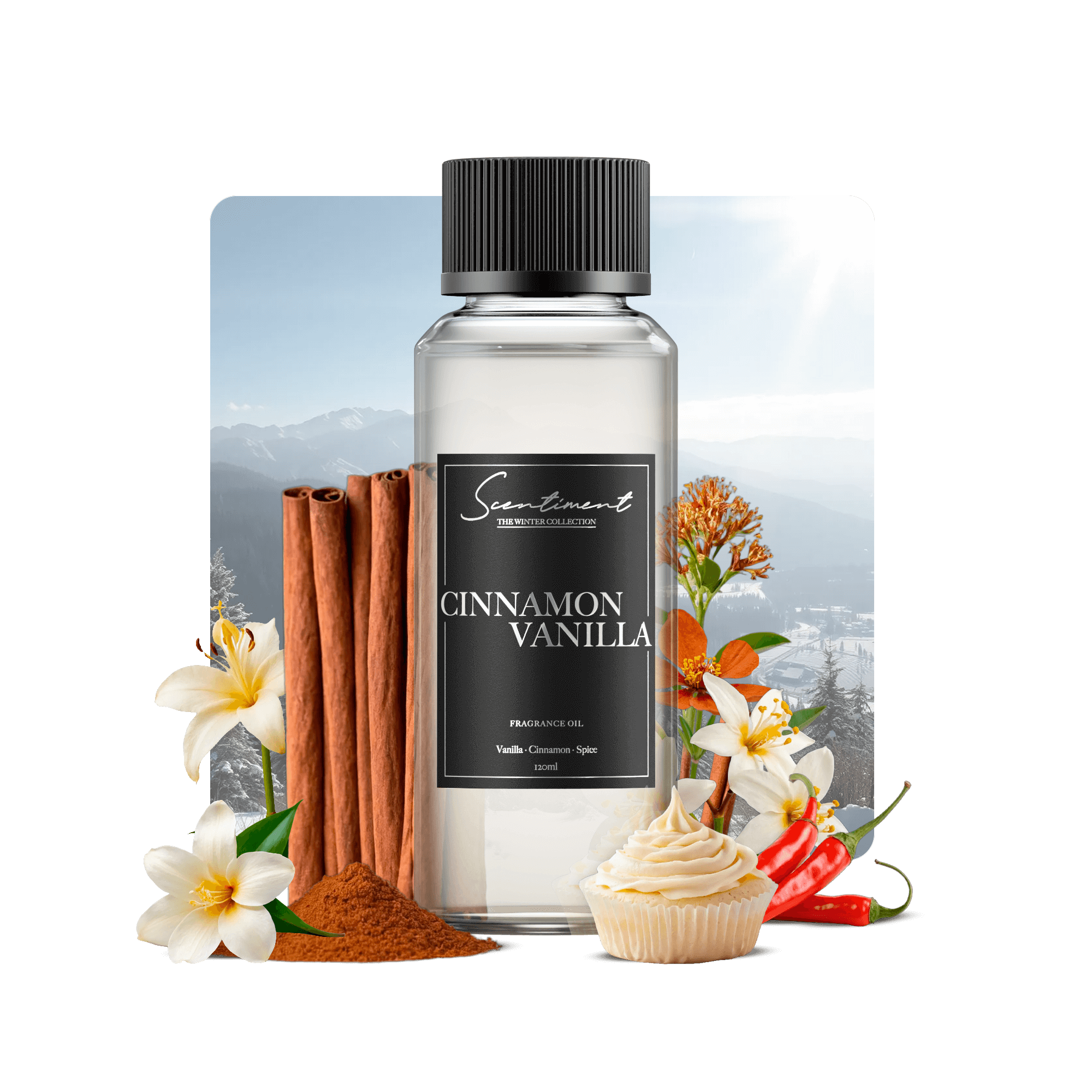 Cinnamon & Vanilla Fragrance Oil with the notes of Cinnamon, Vanilla