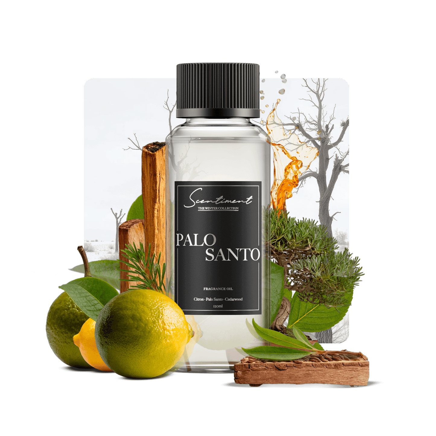 Palo Santo Fragrance Oil with notes of Citron, Palo Santo, Cedarwood