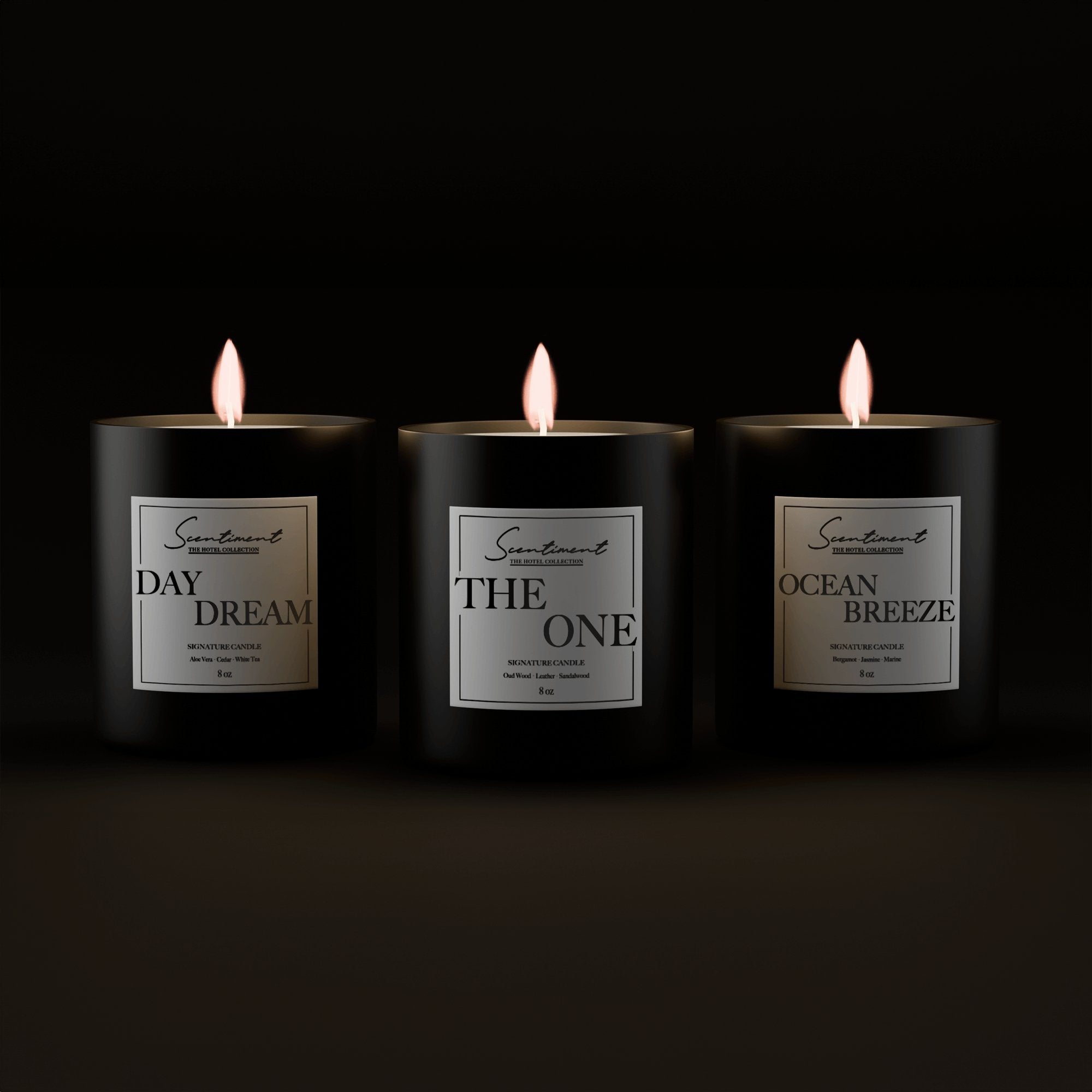 Hotel Collection Candle Set-FREE SHIP CHOOSE popular ANY SCENT!